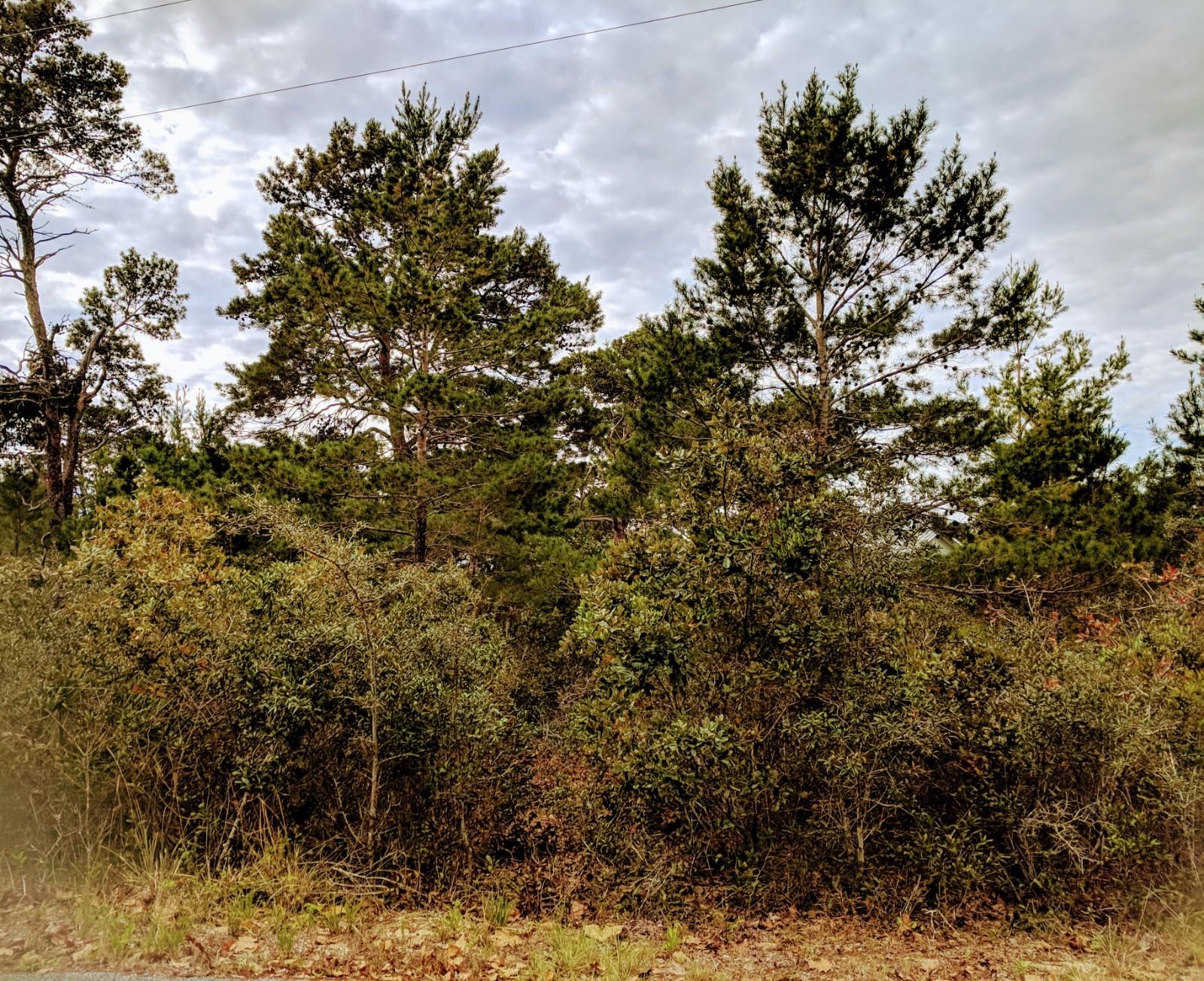 LOT 22 DUNE ALLEN 3RD ADD OR 66-569 OR 3006-1189 - Land