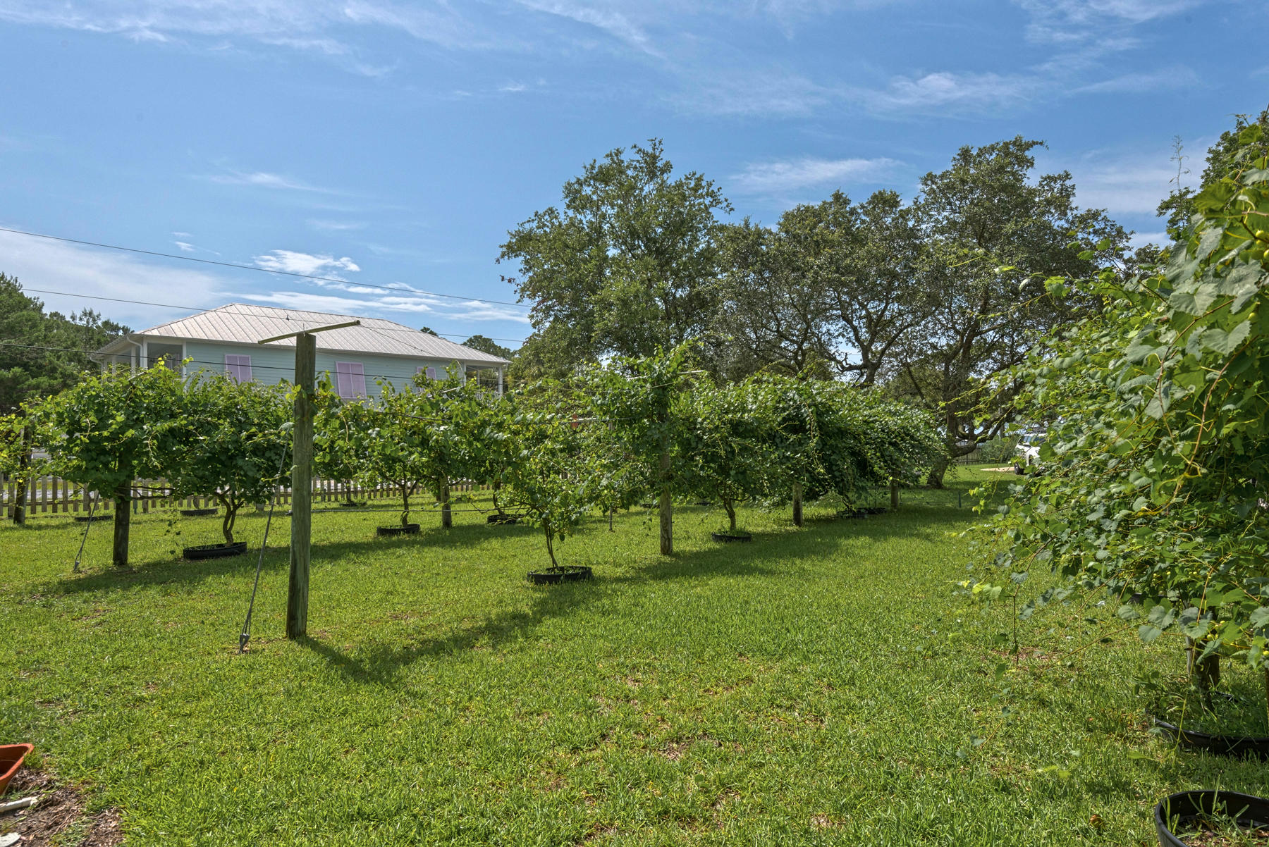 EMERALD SHORES - Residential