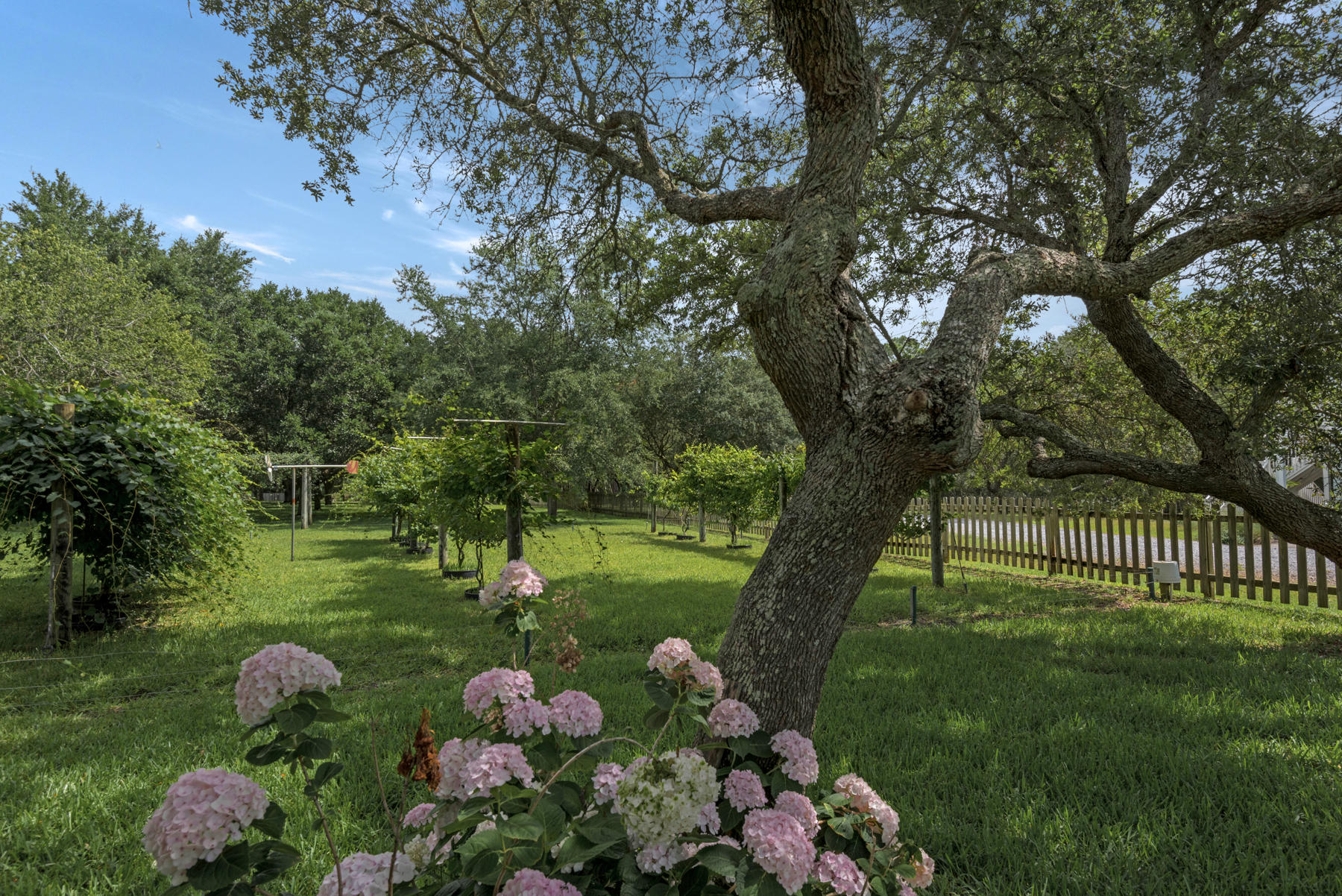 EMERALD SHORES - Residential
