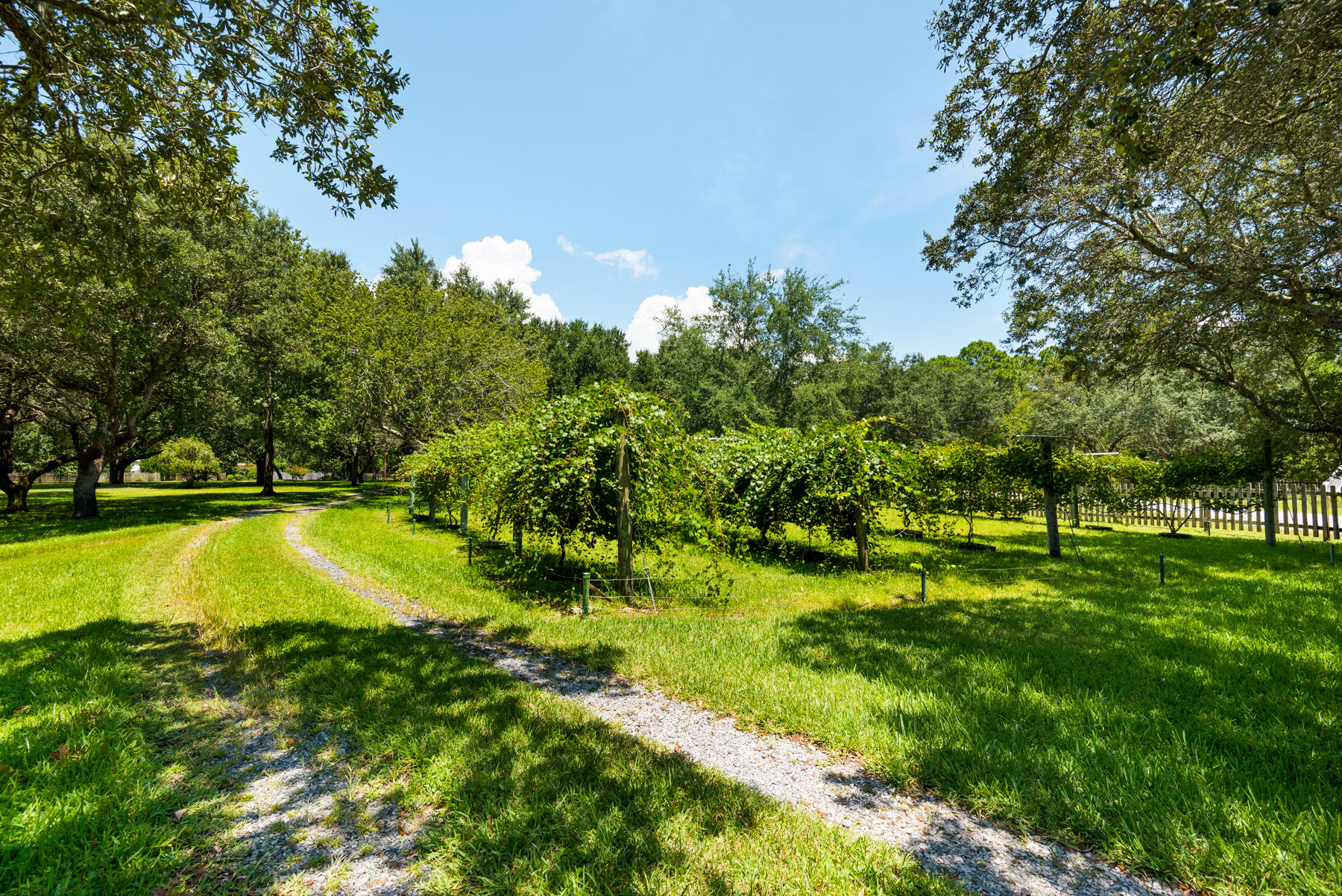 EMERALD SHORES - Residential