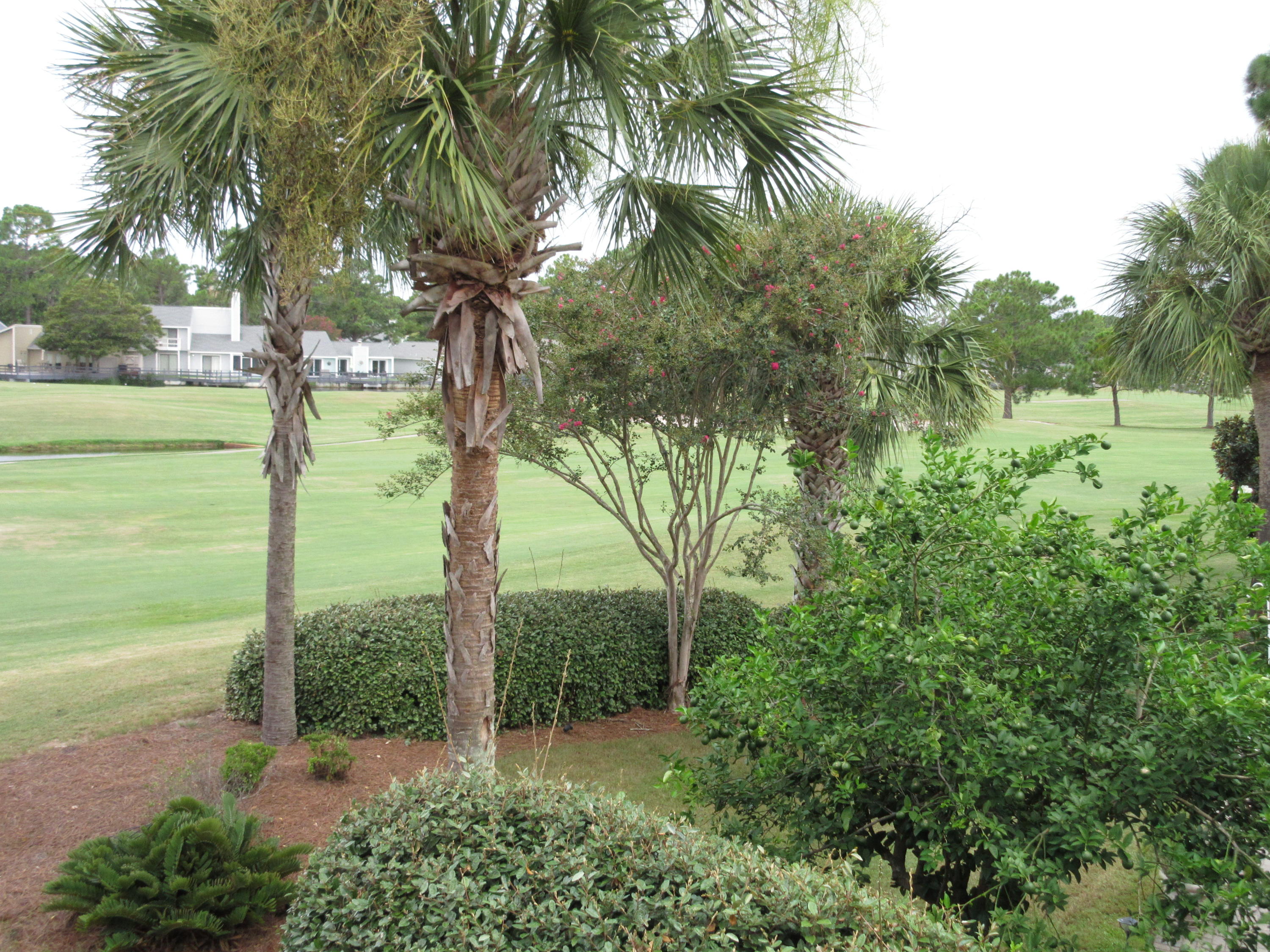 SANDPIPER VILLAGE - Residential