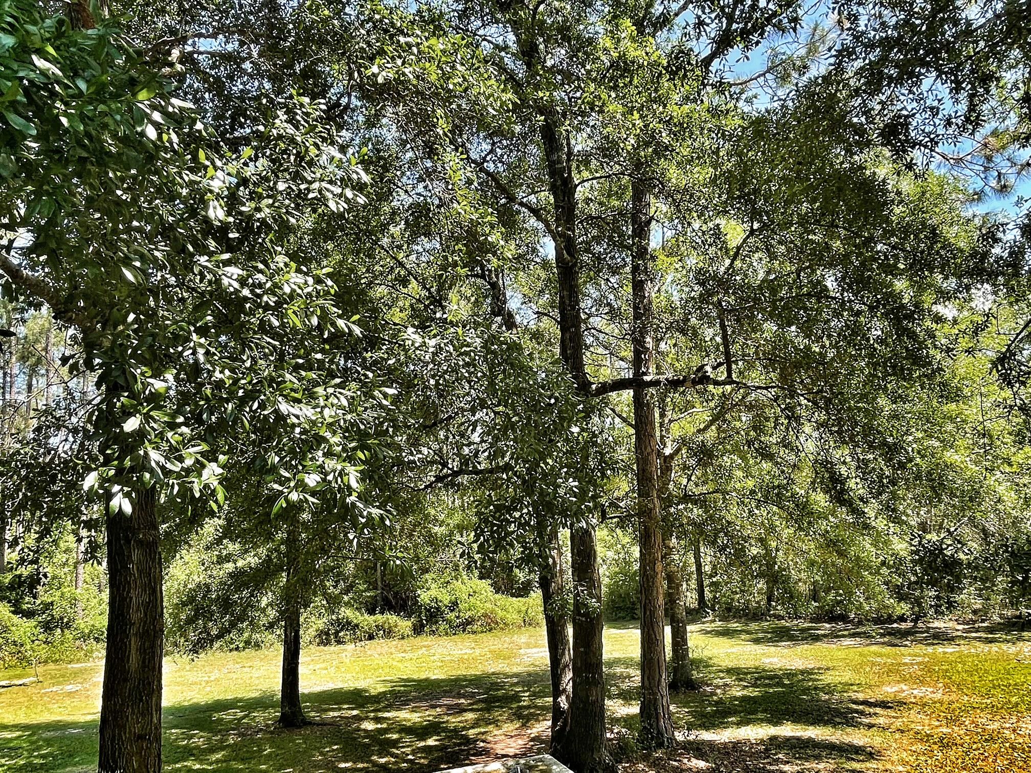 LAKE JUNIPER ESTATES UNIT 3 - Residential
