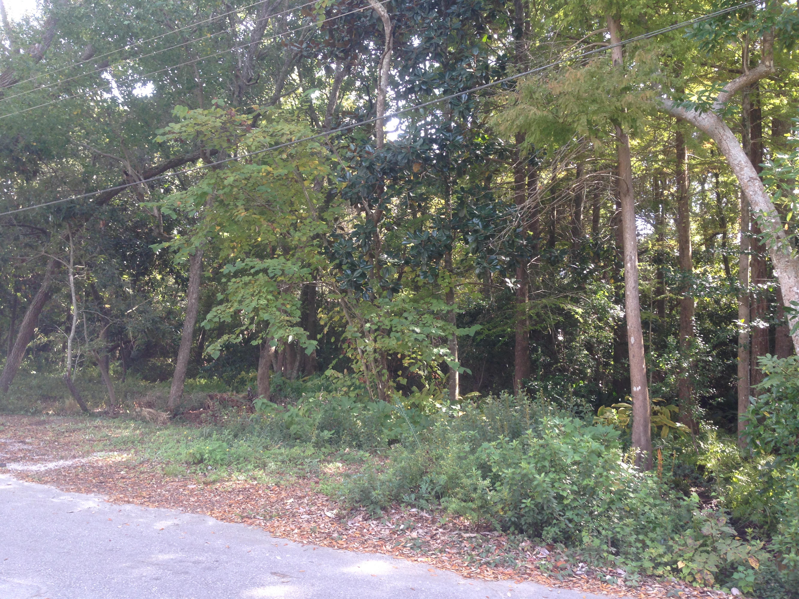 SPRINGHILL ACRES - Land