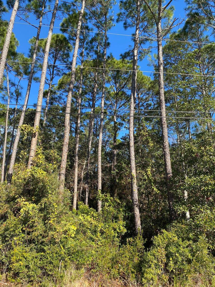 A great opportunity to build your dream home in Navarre! Only minutes to Navarre Beach, dining, and shopping. Approximately .46 acres situated in a developed neighborhood with NO HOA! This one won't last long!