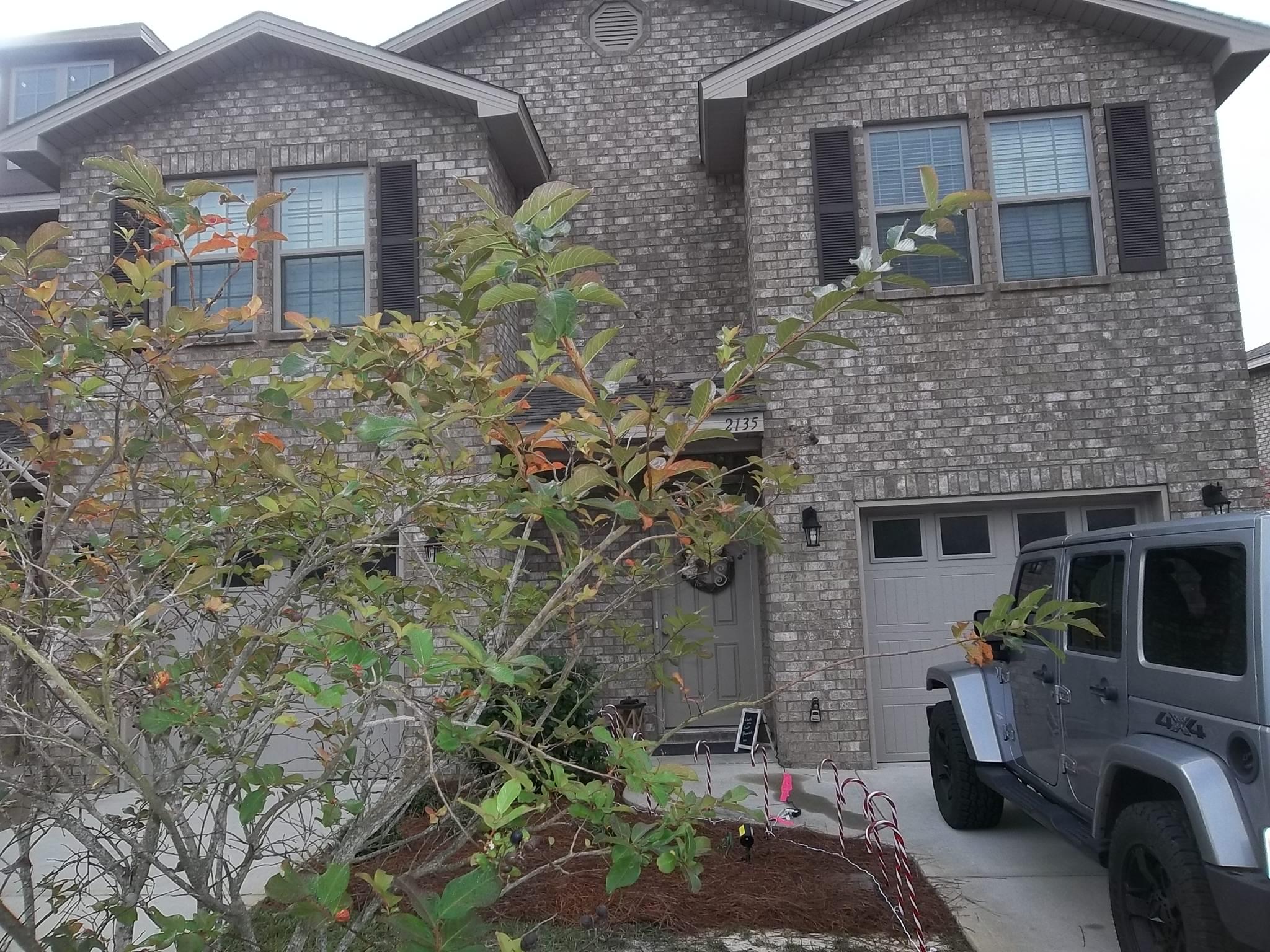 RESERVE POINTE - Residential