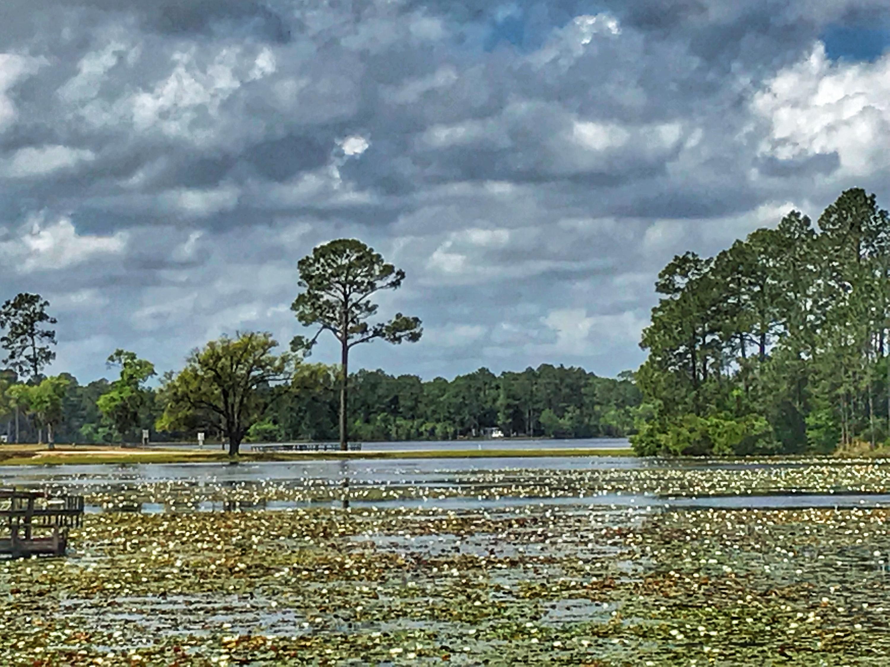 WATERFRONT LOT! Looking for that perfect waterfront lot to build your dream home on? This lot sits on Juniper Lake. There is a mobile home on that property that has been given no value. Call me for a showing!