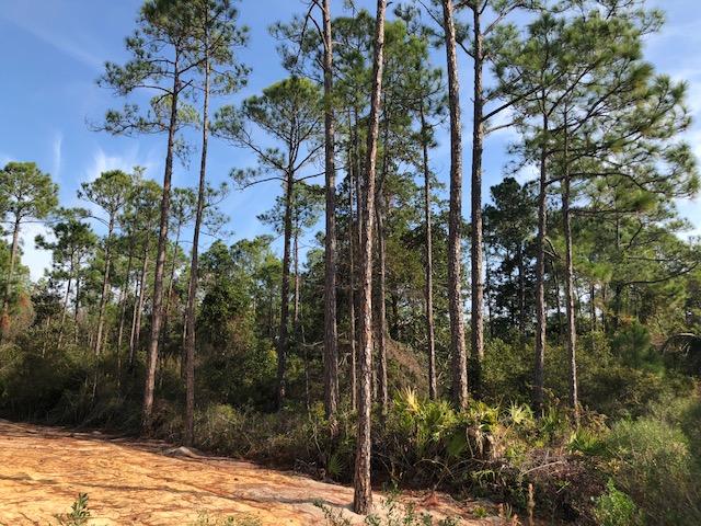 ELIZABETH FARMS 5TH ADDN UNREC - Land