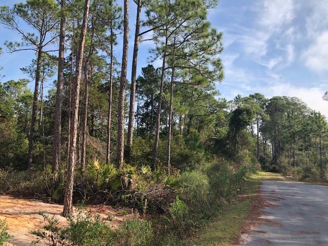 ELIZABETH FARMS 5TH ADDN UNREC - Land