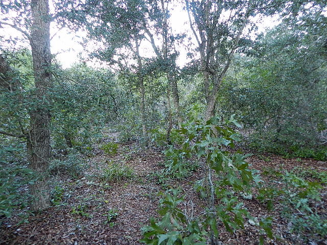 East Bay River Estates - Land