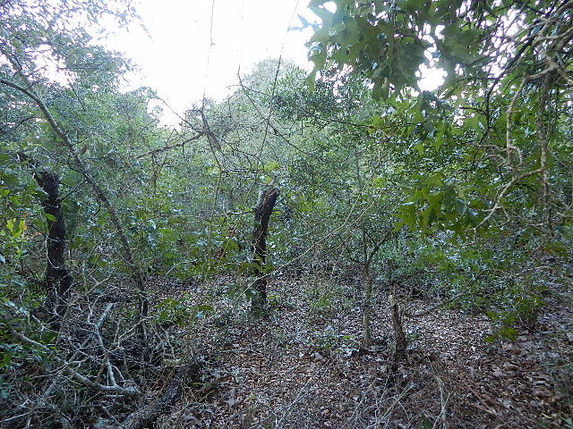 East Bay River Estates - Land