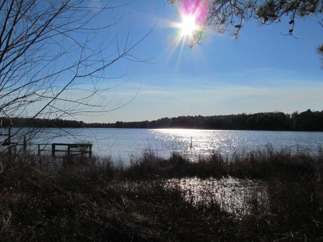 PARADISE ISLAND - Residential