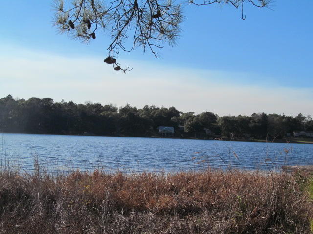 PARADISE ISLAND - Residential