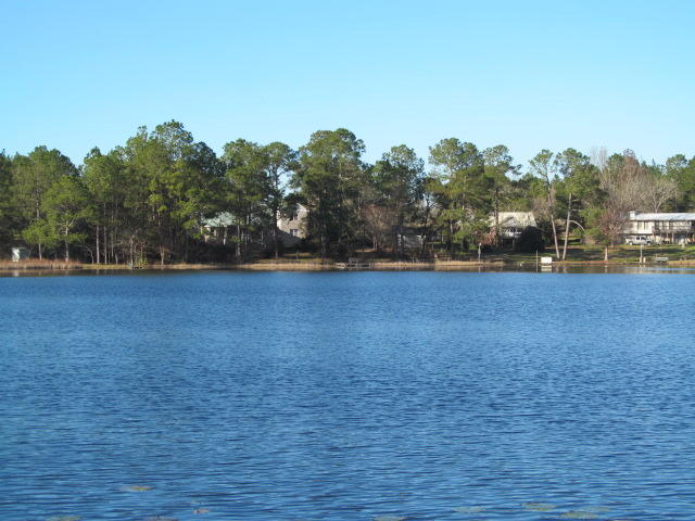 PARADISE ISLAND - Residential