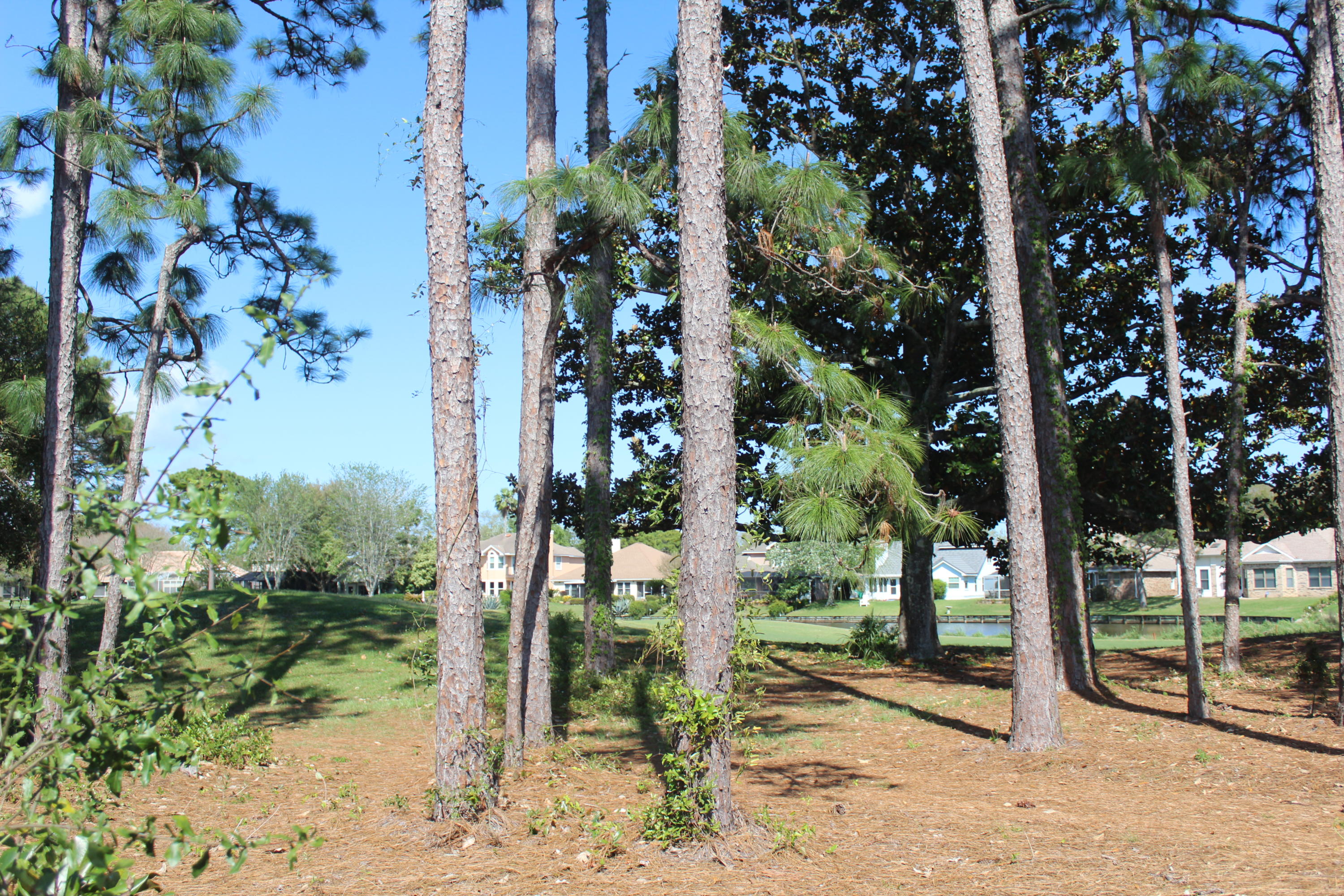 LAKE LORRAINE ESTATES 3 - Residential