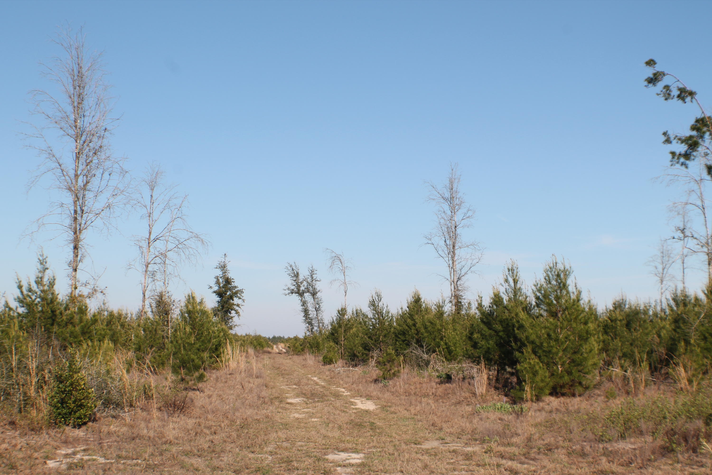 METES & BOUNDS - Farm