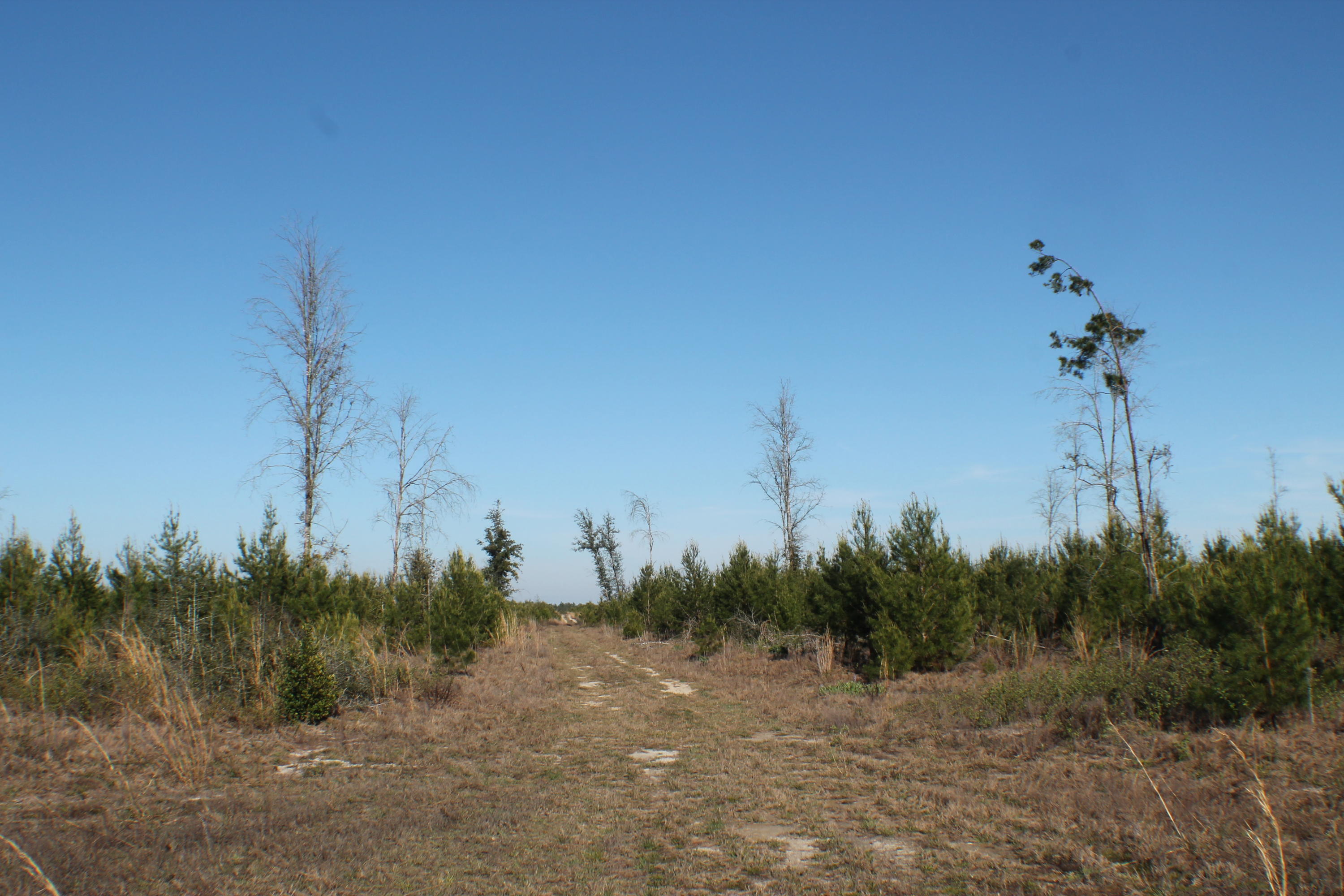 METES & BOUNDS - Farm