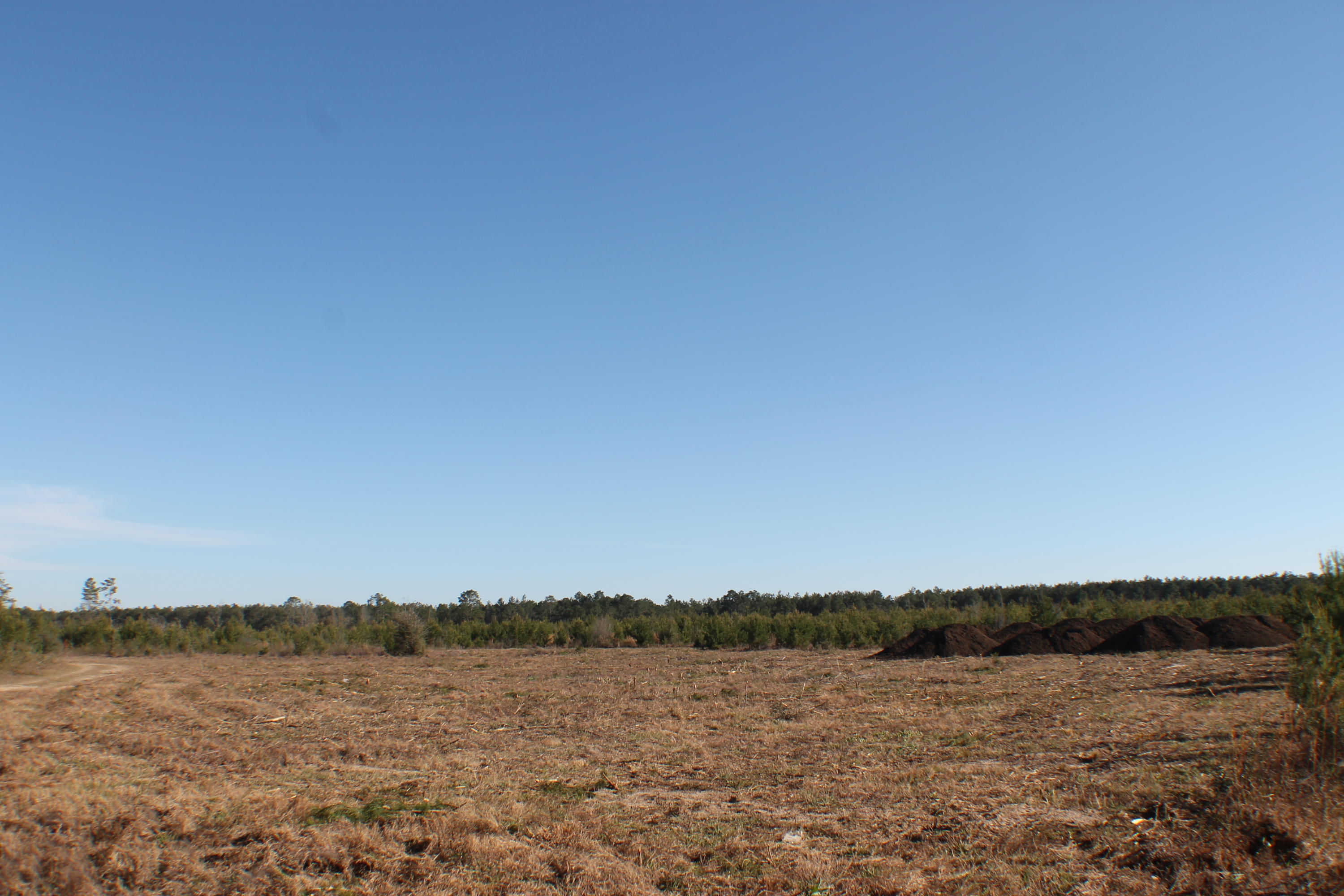 METES & BOUNDS - Farm