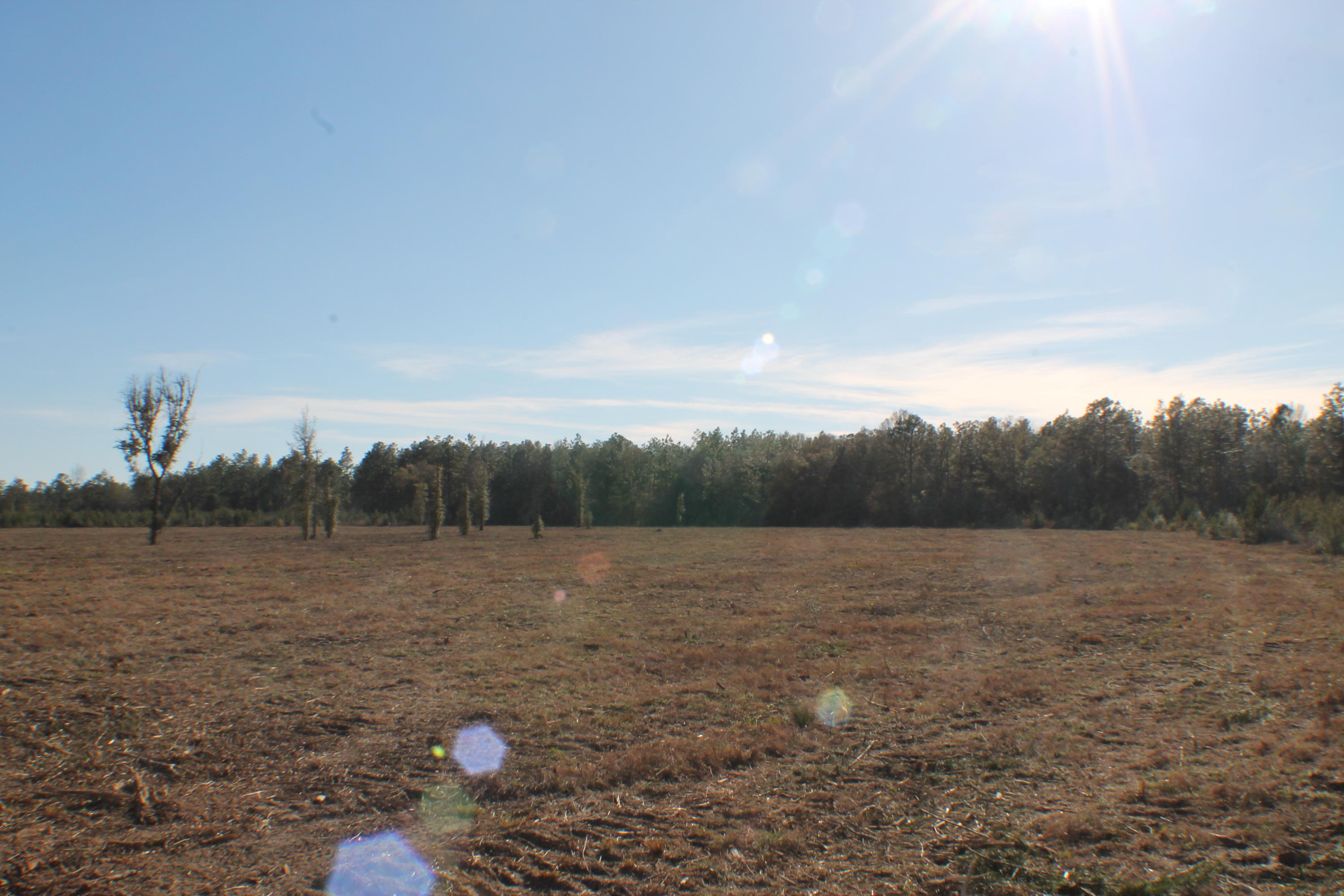 METES & BOUNDS - Farm