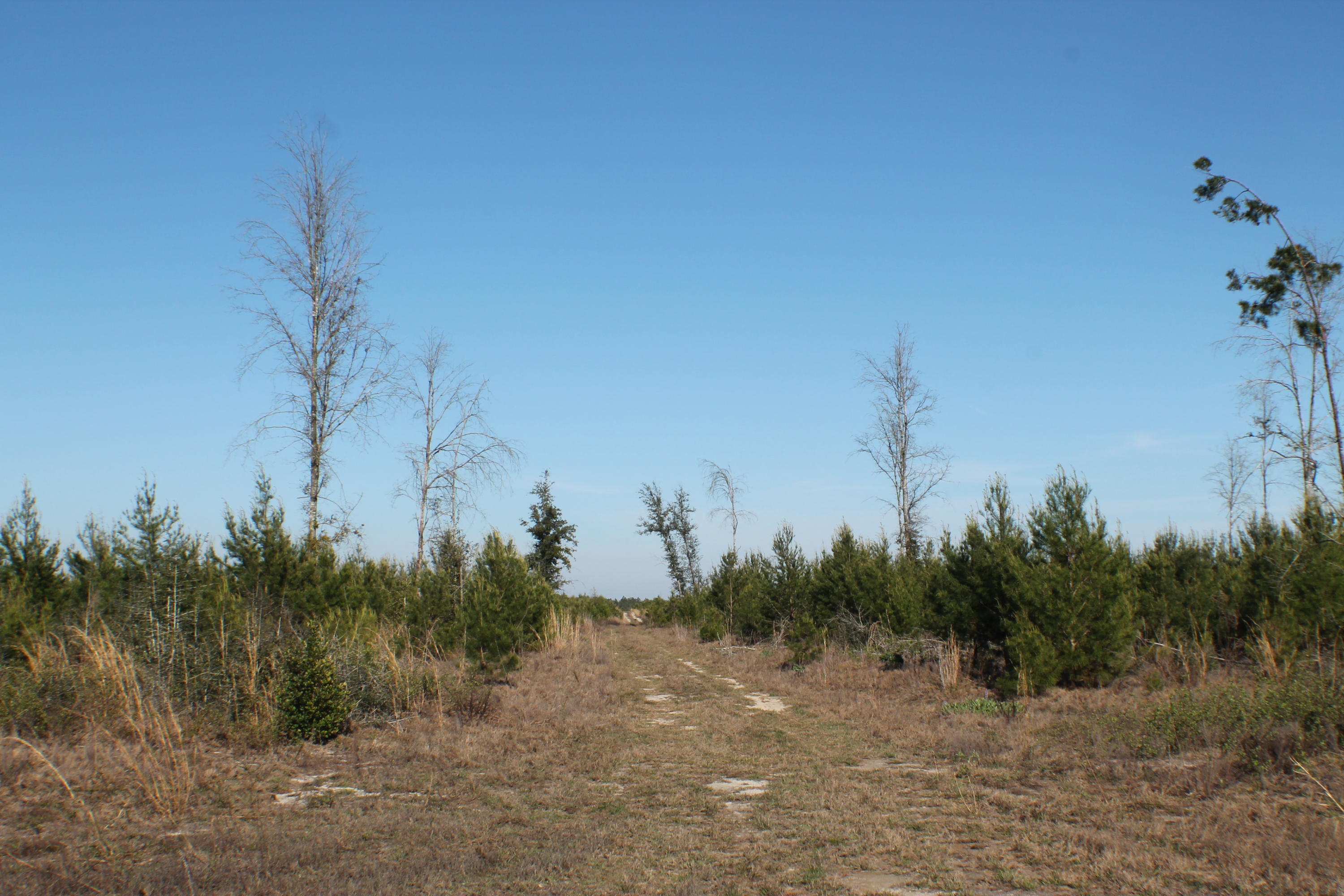 METES & BOUNDS - Farm