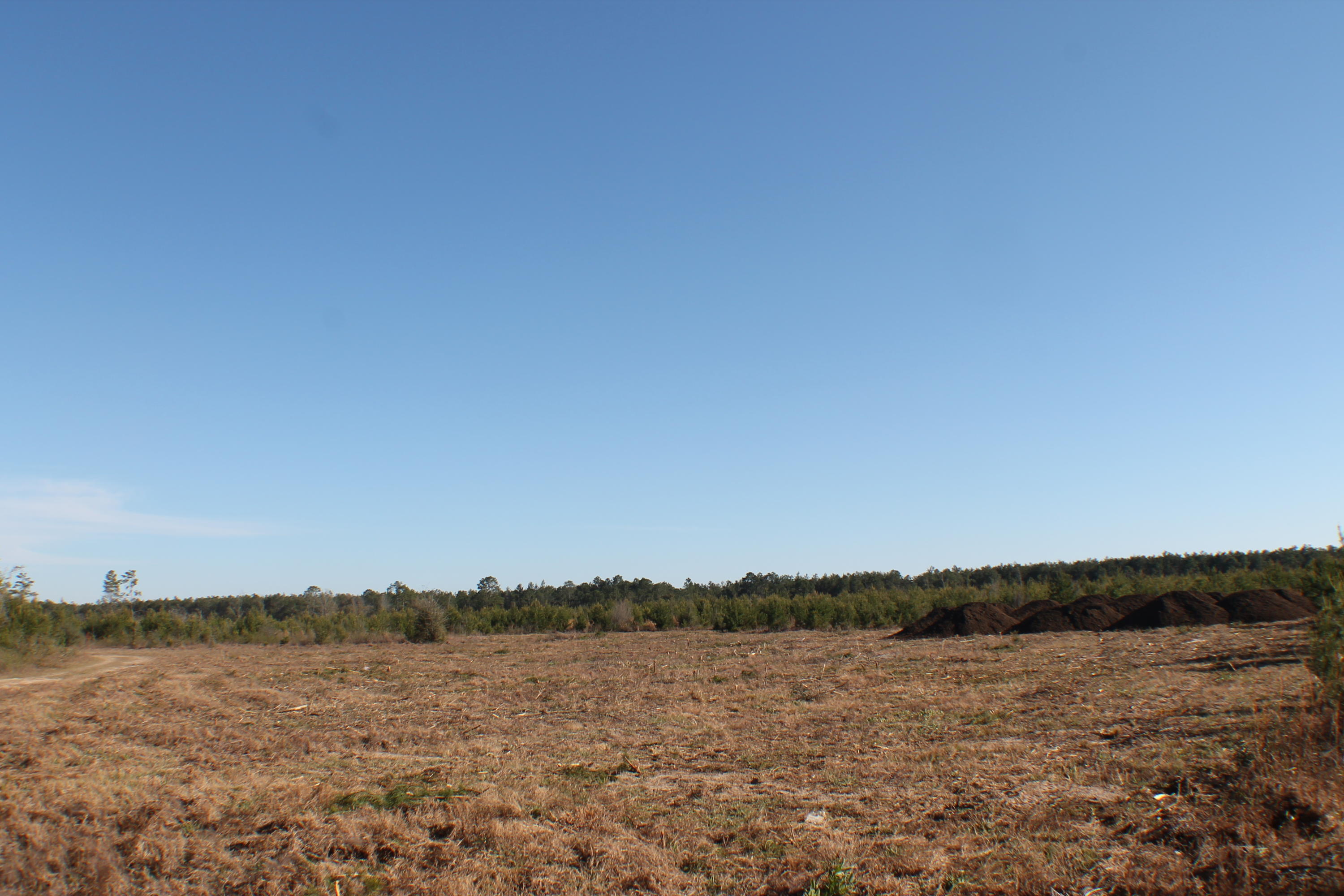 METES & BOUNDS - Farm