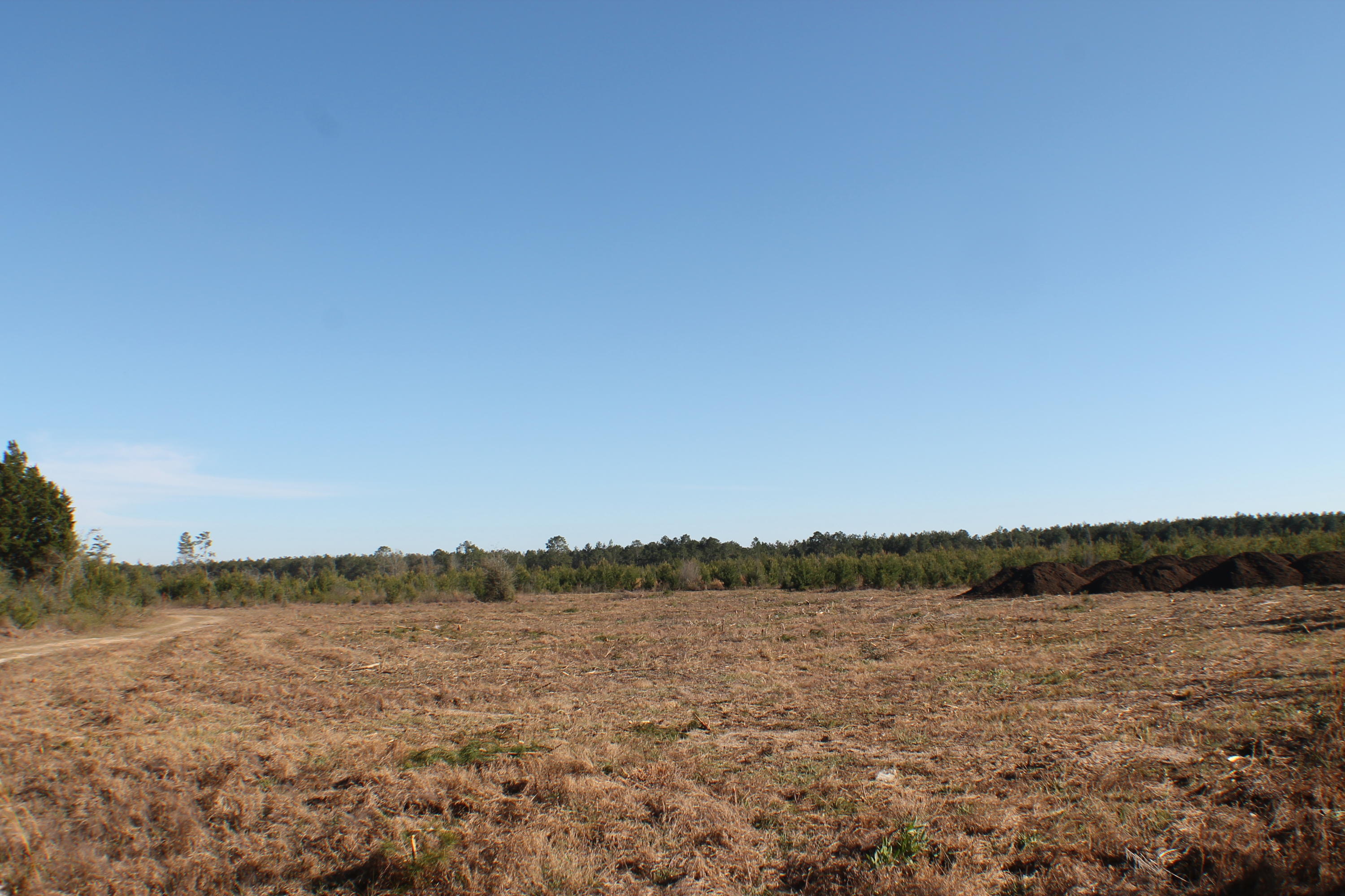 METES & BOUNDS - Farm