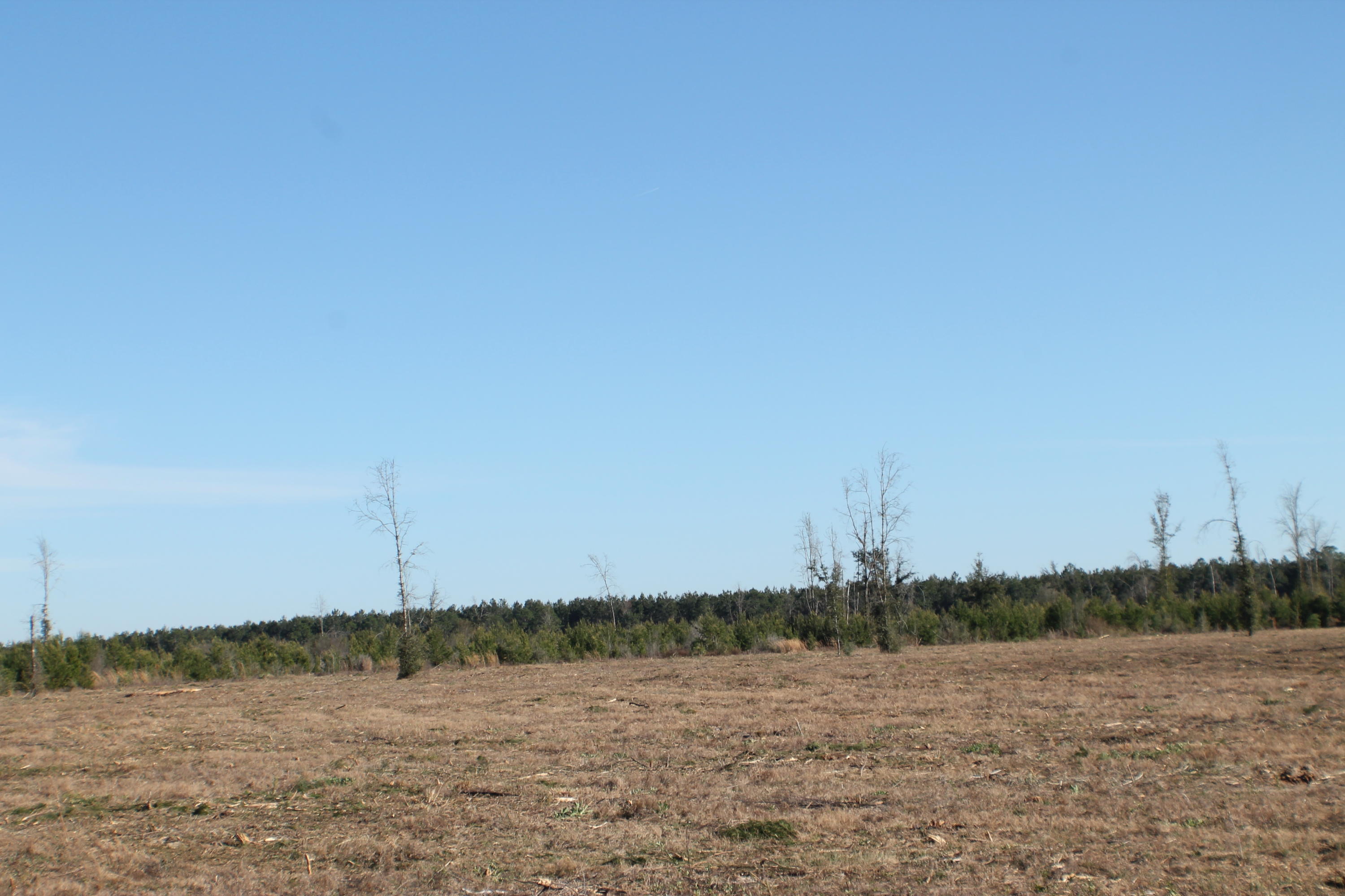 METES & BOUNDS - Farm