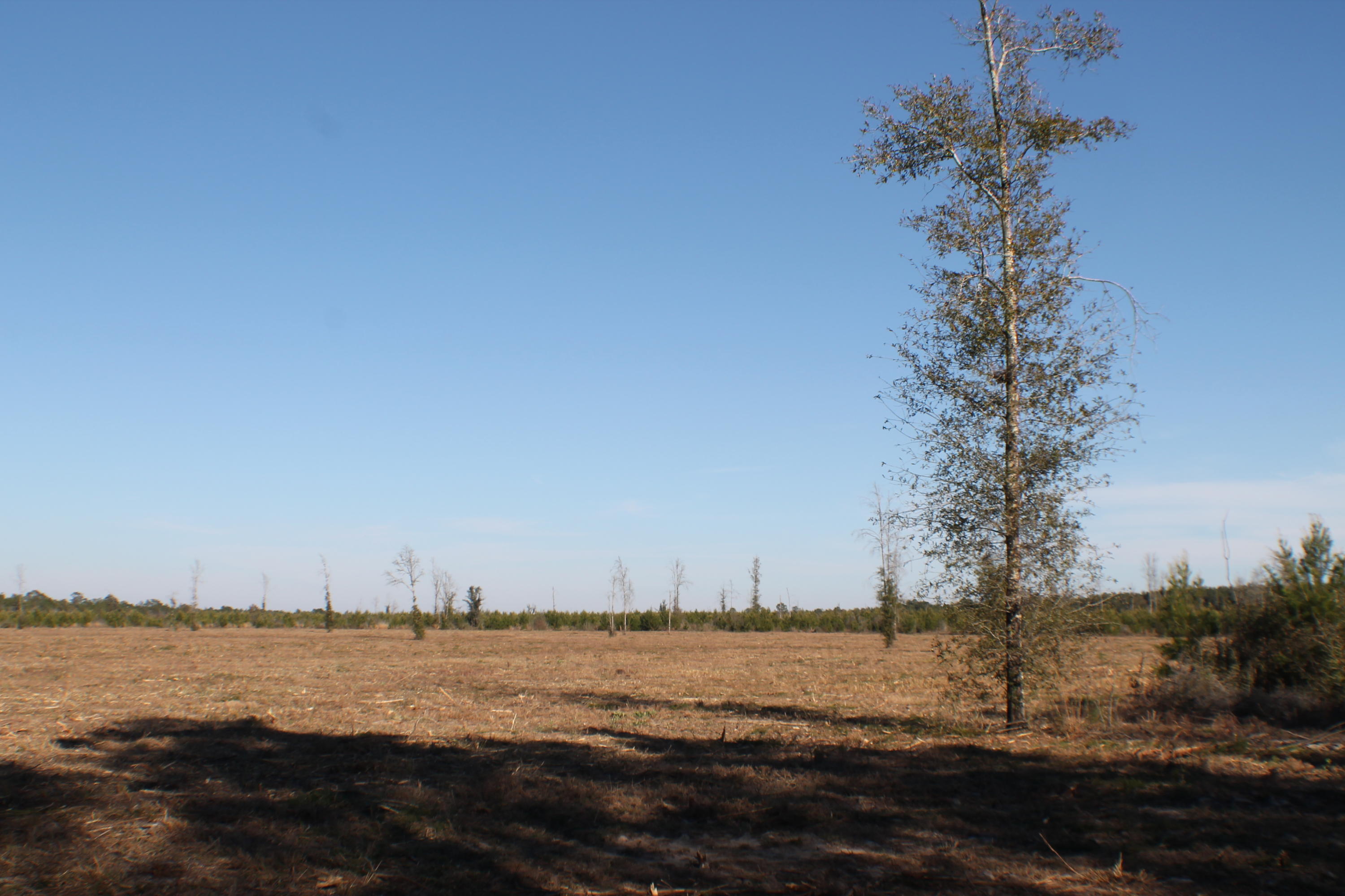 METES & BOUNDS - Farm