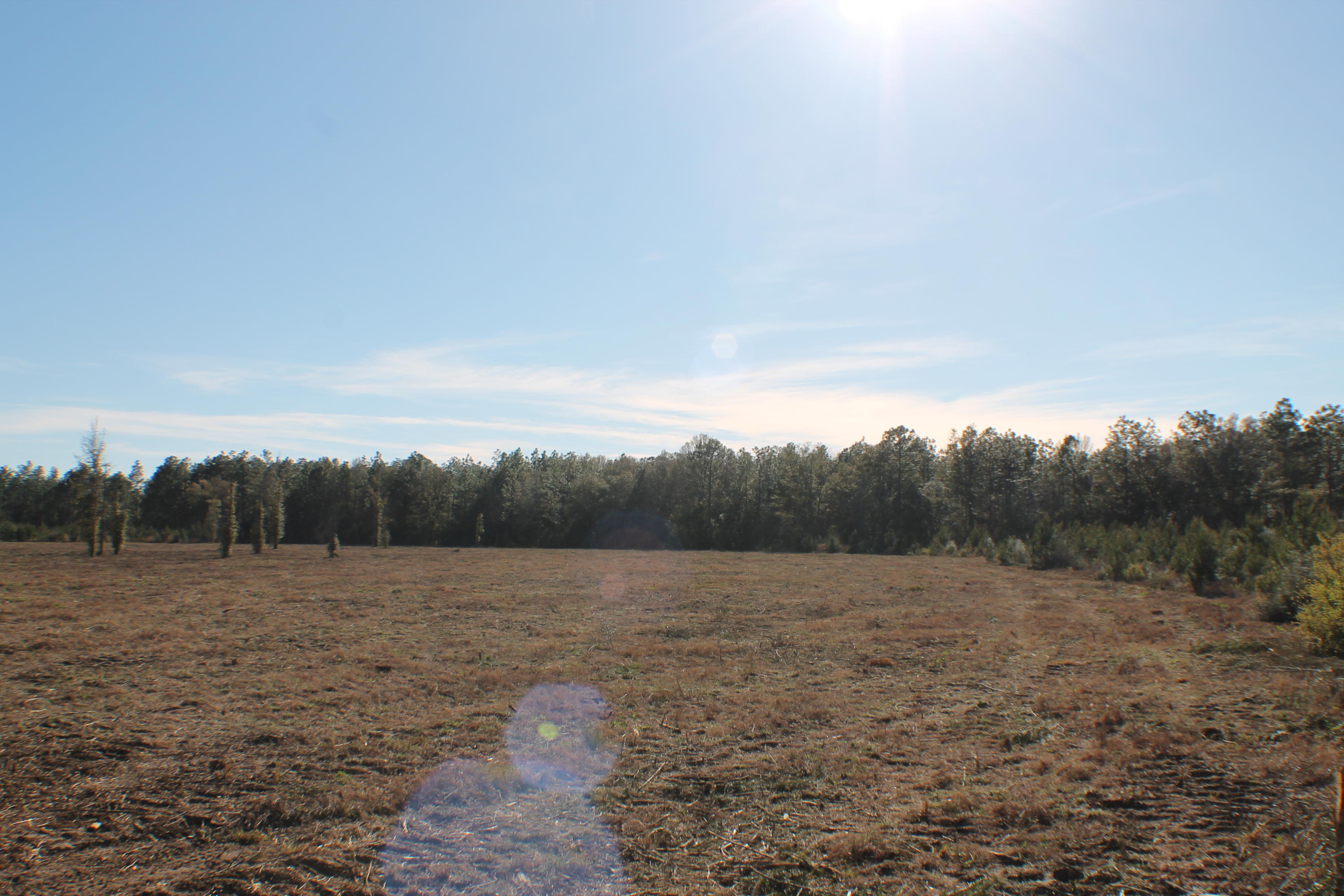 METES & BOUNDS - Farm