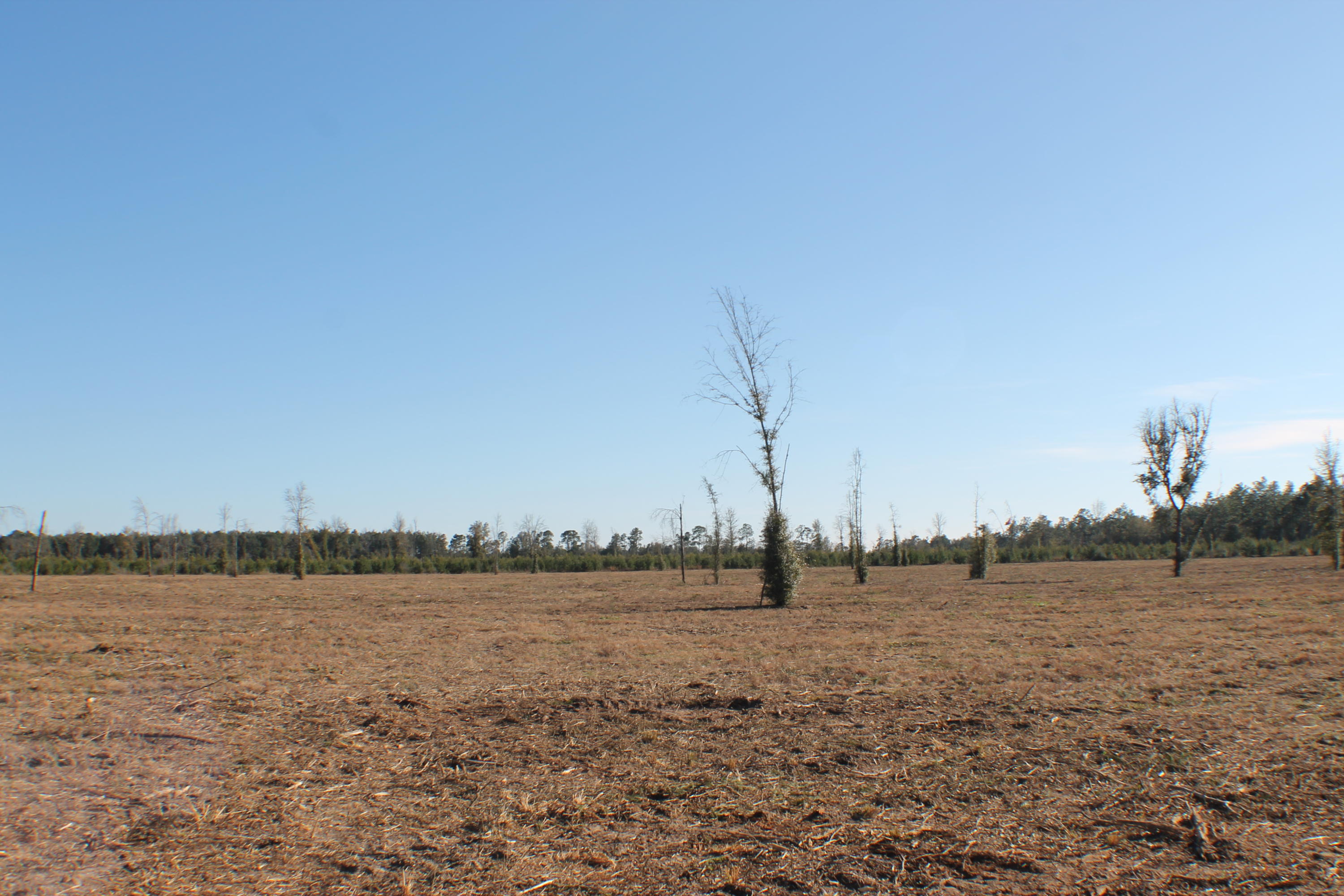 METES & BOUNDS - Farm