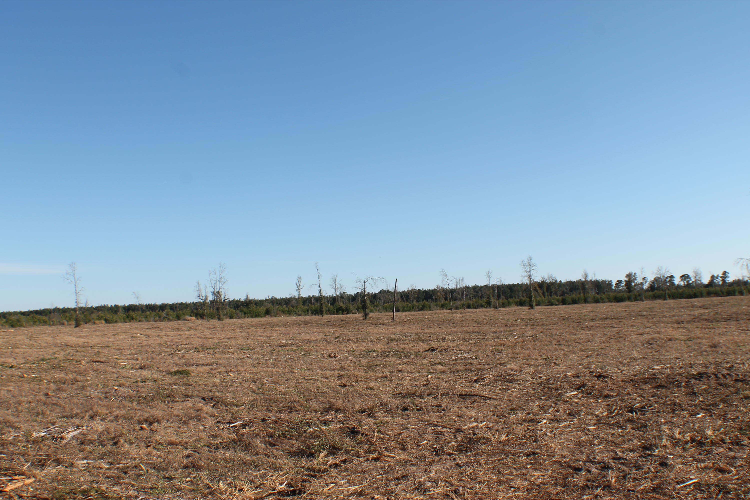 METES & BOUNDS - Farm