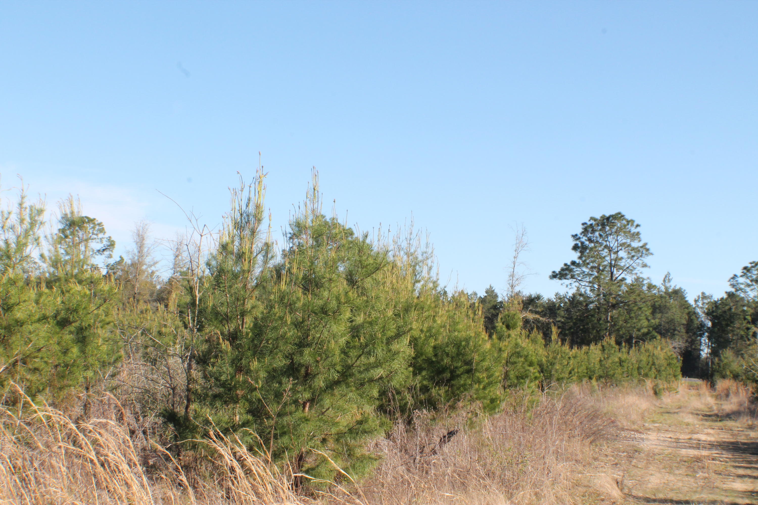 METES & BOUNDS - Farm