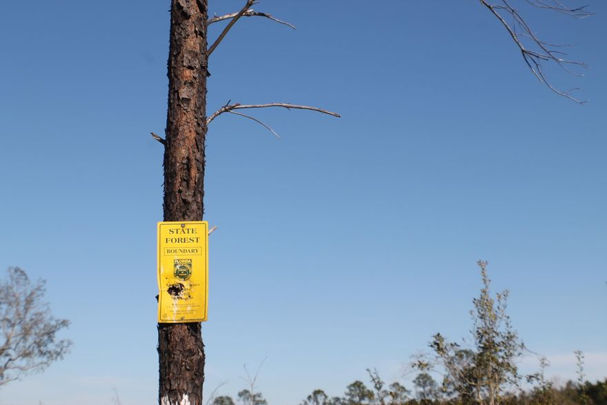 Lots of road frontage on Outlook and visible for marketing on I-10. Level. Bring your subdivision or re-zoning plans!' Seller will divide. Harold are just across the County Line from Okaloosa at Holt.