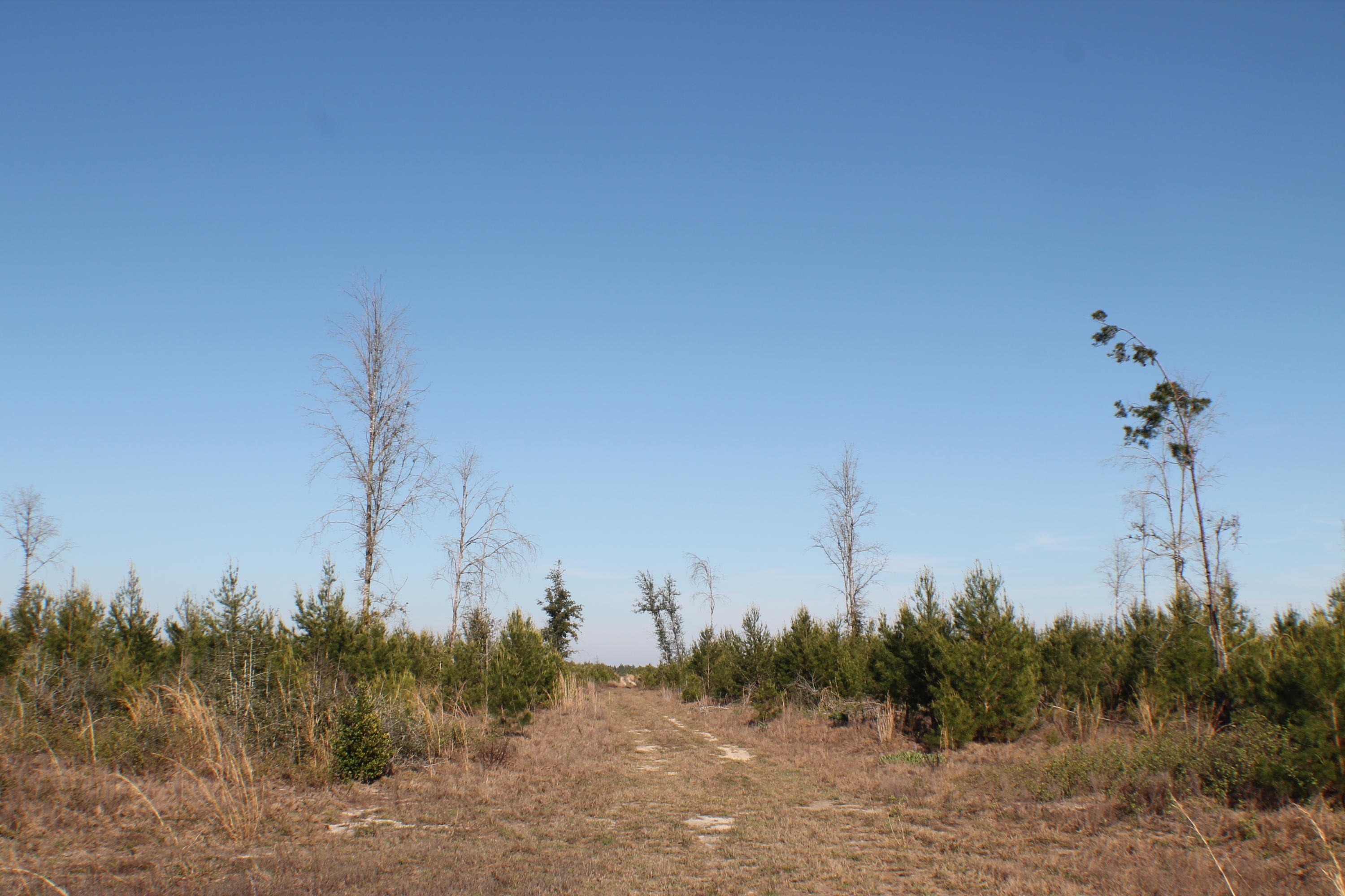 METES & BOUNDS - Farm