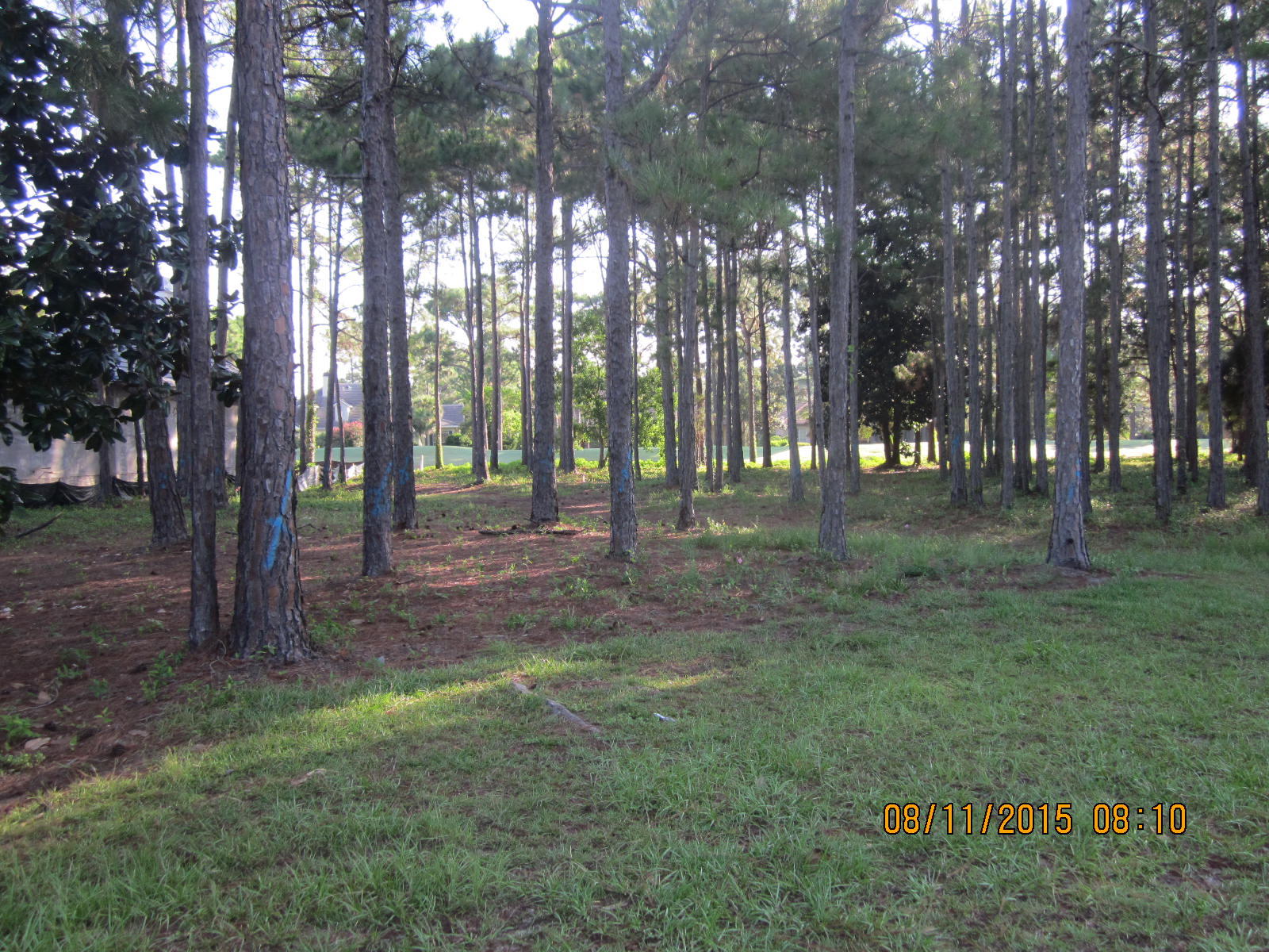 If you are looking for the perfect lot on which to build your dream home you just found it. The lot sits on the 16th hole of the Raven Golf Course in the neighborhood of Island Green, which is one of the most sought after and desirable subdivisions in Sandestin. The lot is a large, wooded lot with pleasant afternoon shade. The sellers have done enough planning to know that the lot is suitable to build a large one level home with a 3 car garage and pool.