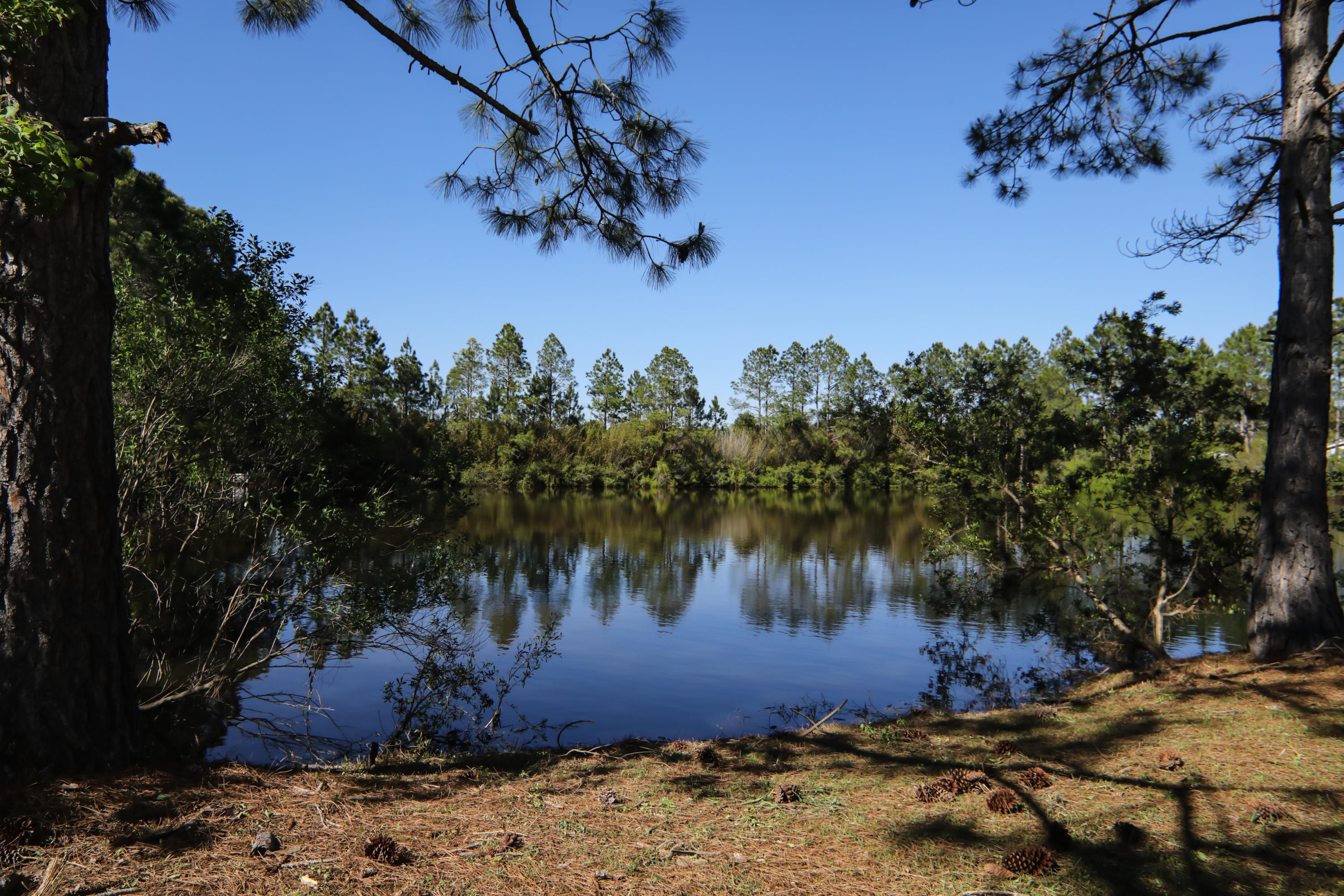 EDGEWOOD TERRACE - Residential