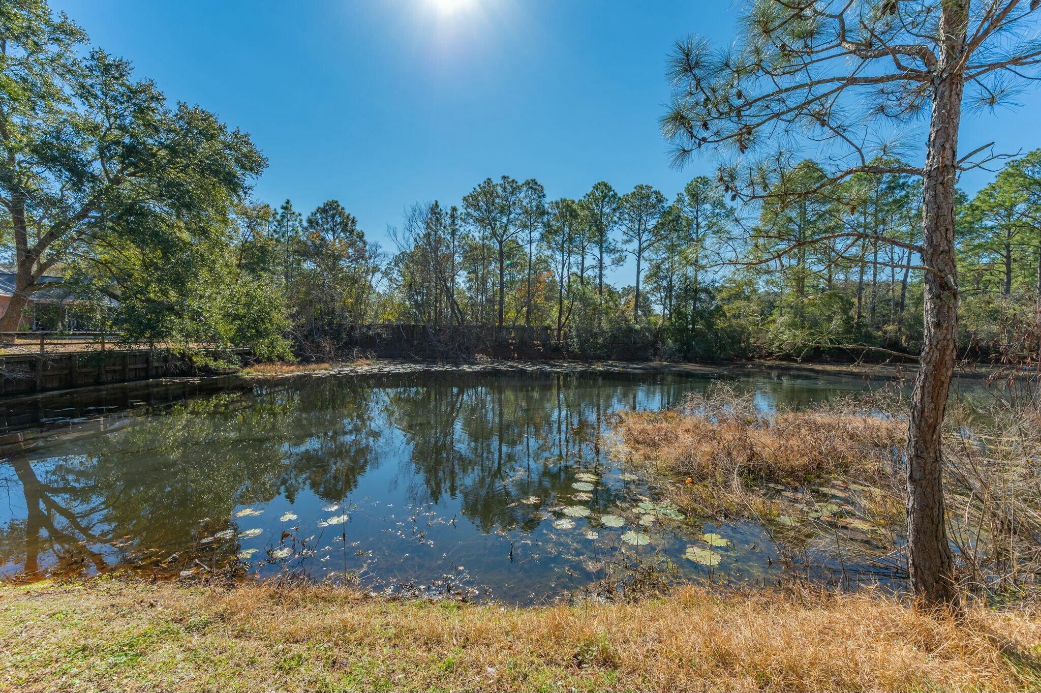 CLOVERDALE LAKE - Residential