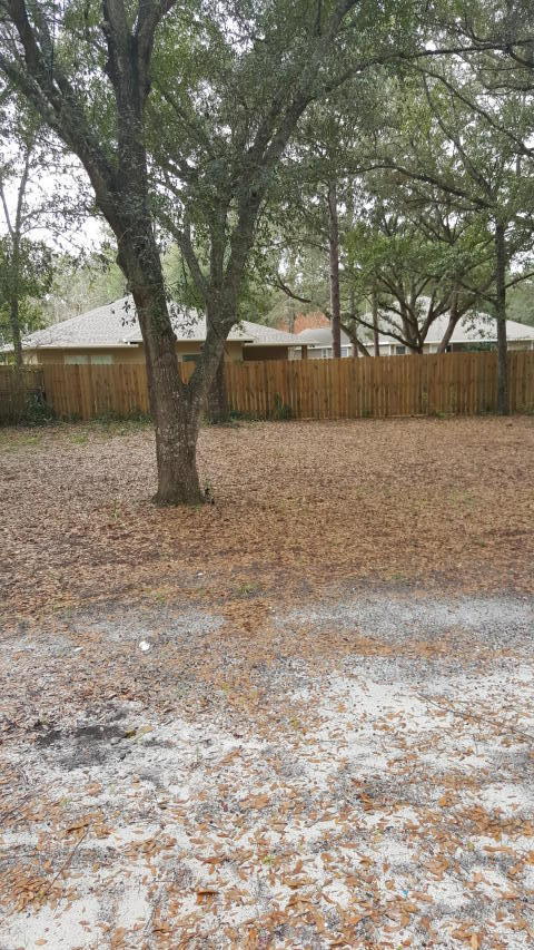 ELLIOTTS POINT - Residential Lease