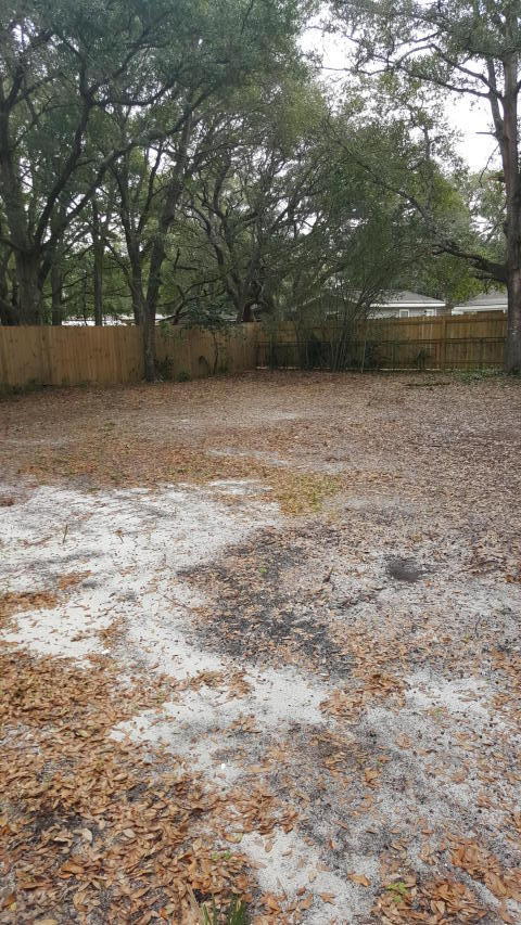 ELLIOTTS POINT - Residential Lease