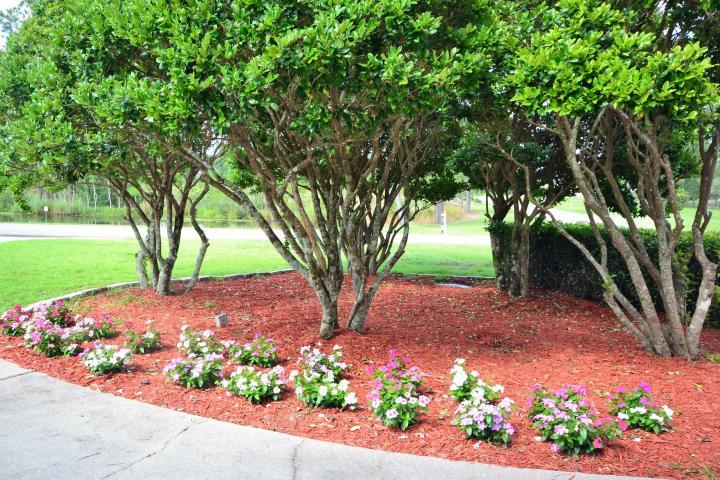 CASA GRANDE - Residential