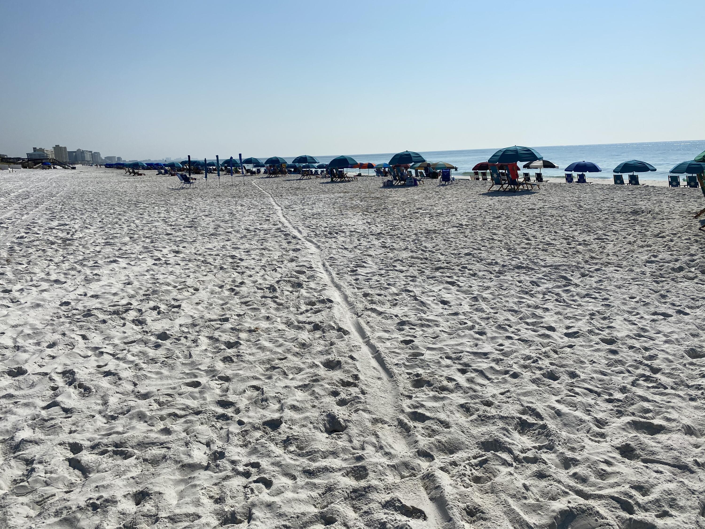 ISLANDER CONDO - Residential