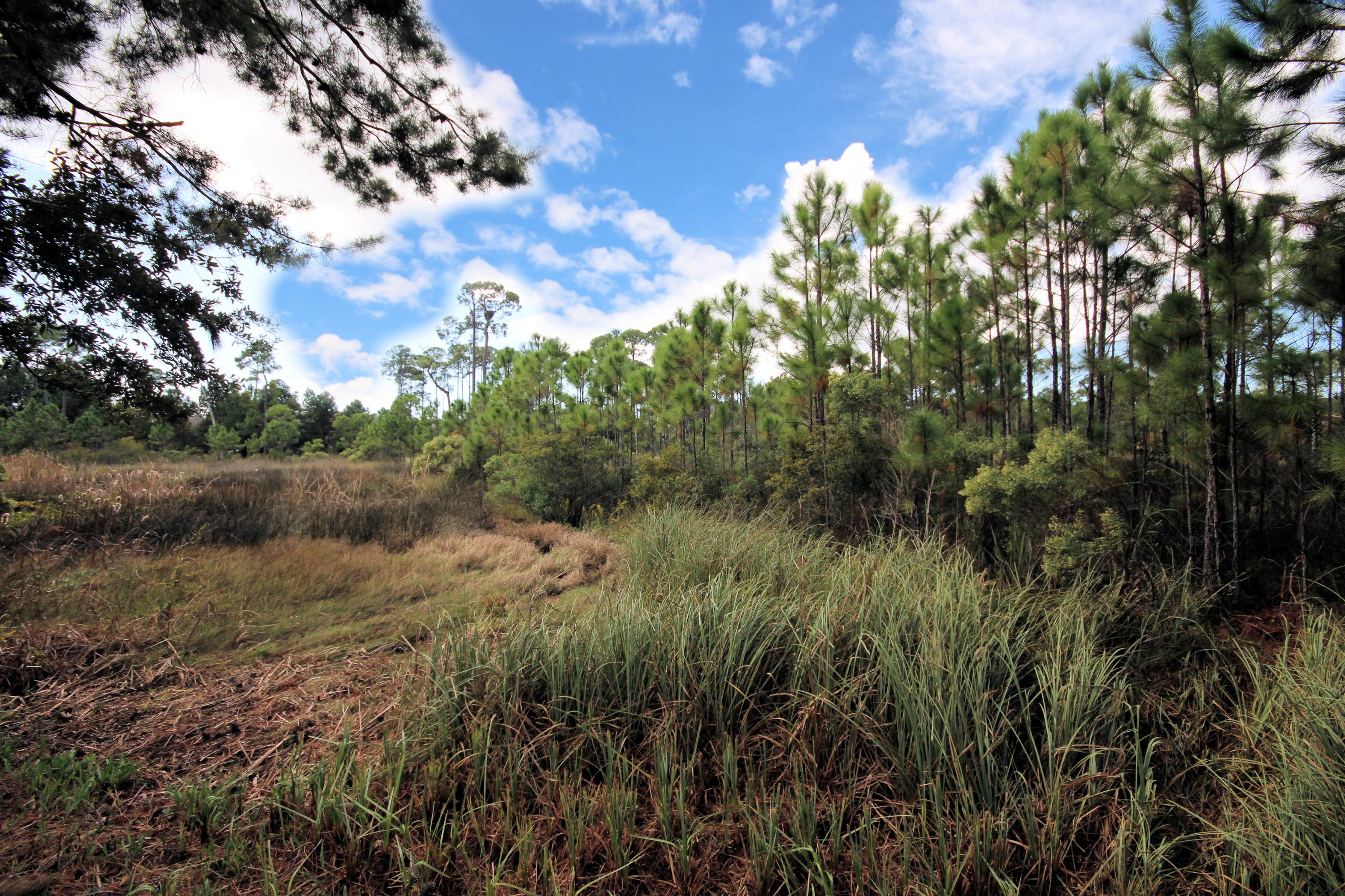 MACK BAYOU POINTE - Residential