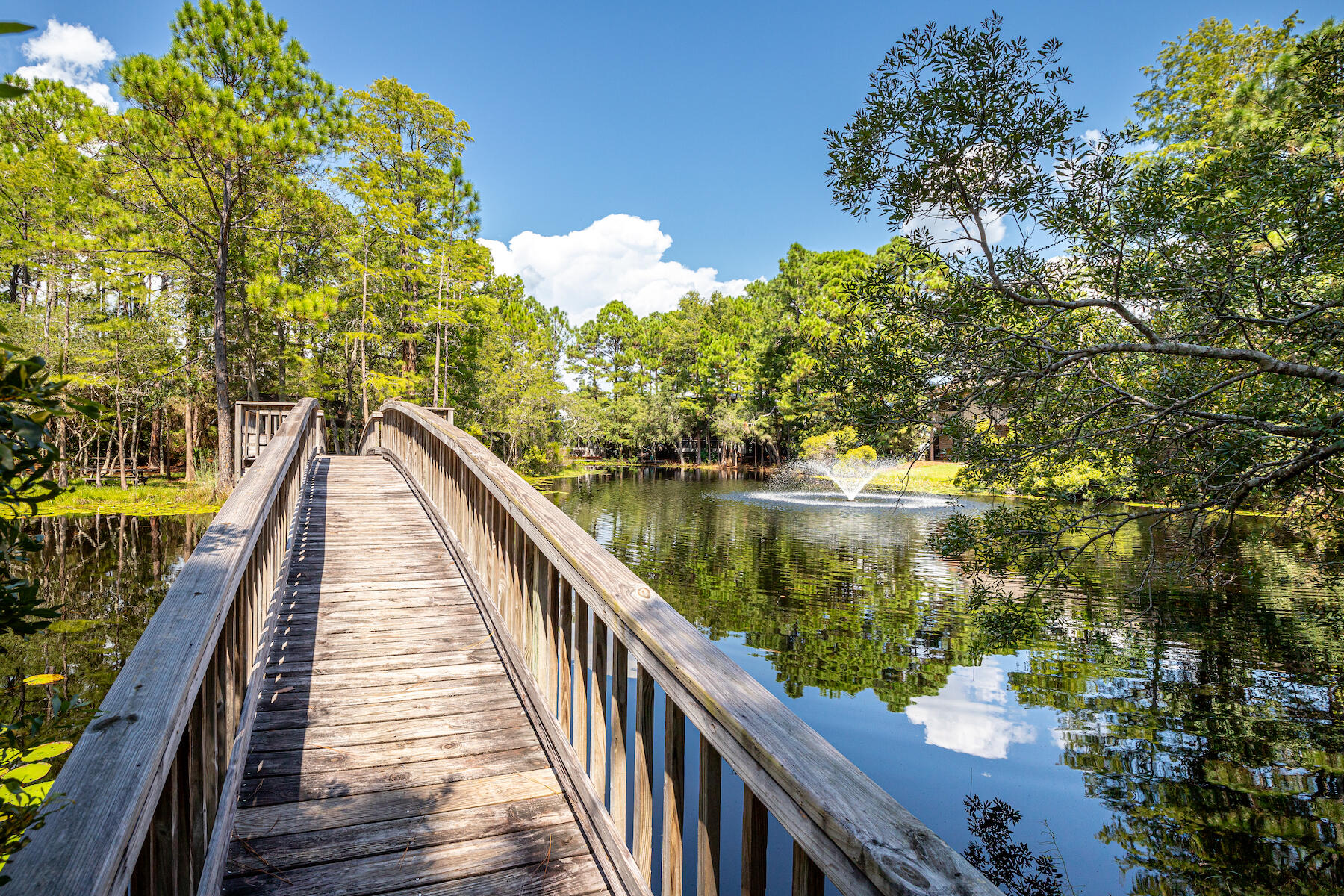 CASSINE GARDENS T/H PH 3 - Residential