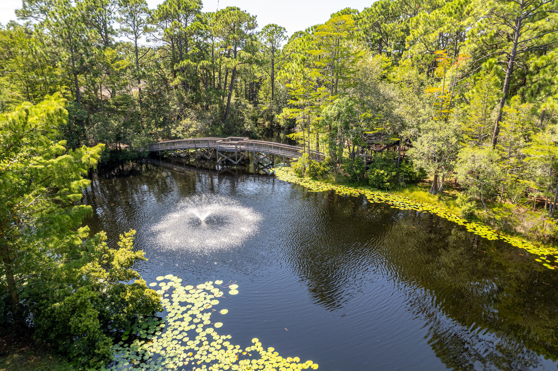 CASSINE GARDENS T/H PH 3 - Residential
