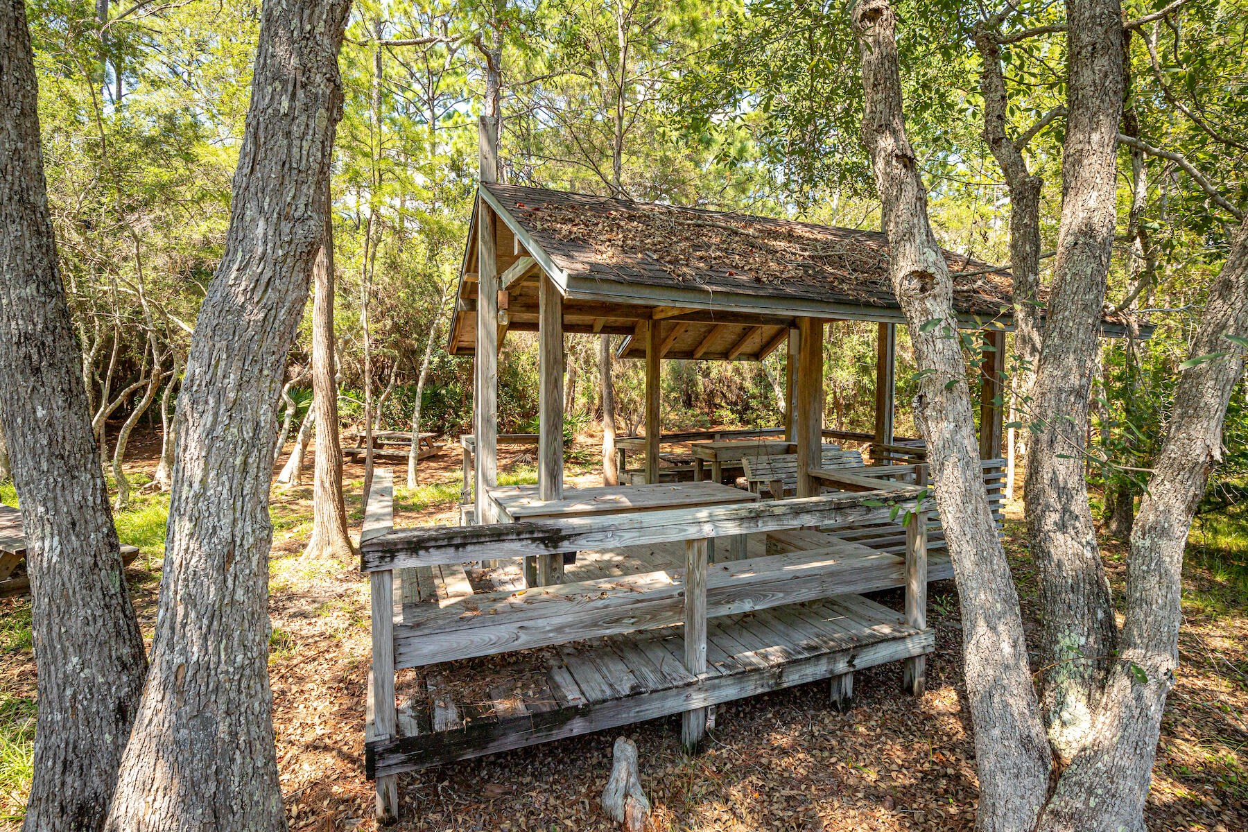 CASSINE GARDENS T/H PH 3 - Residential