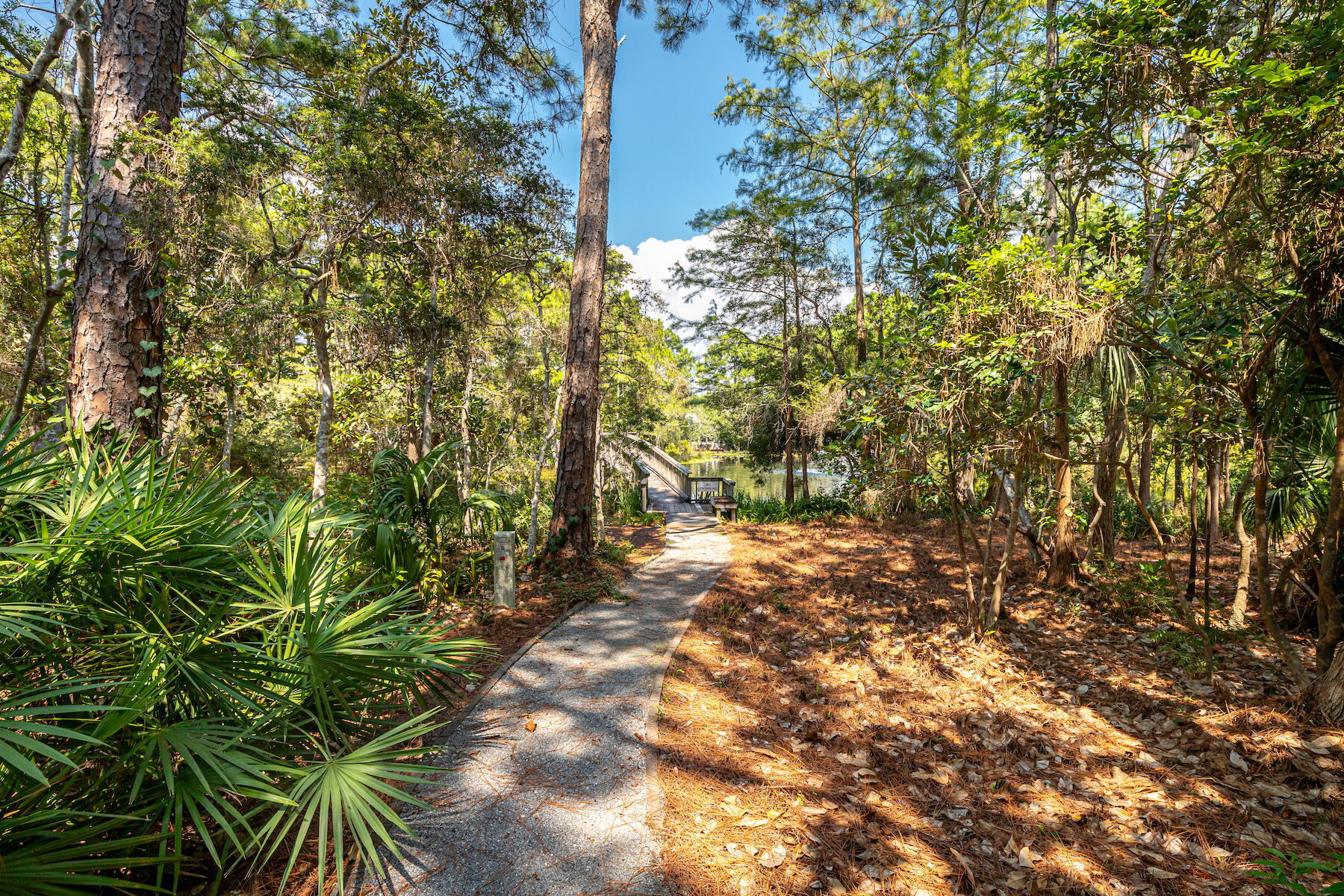 CASSINE GARDENS T/H PH 3 - Residential