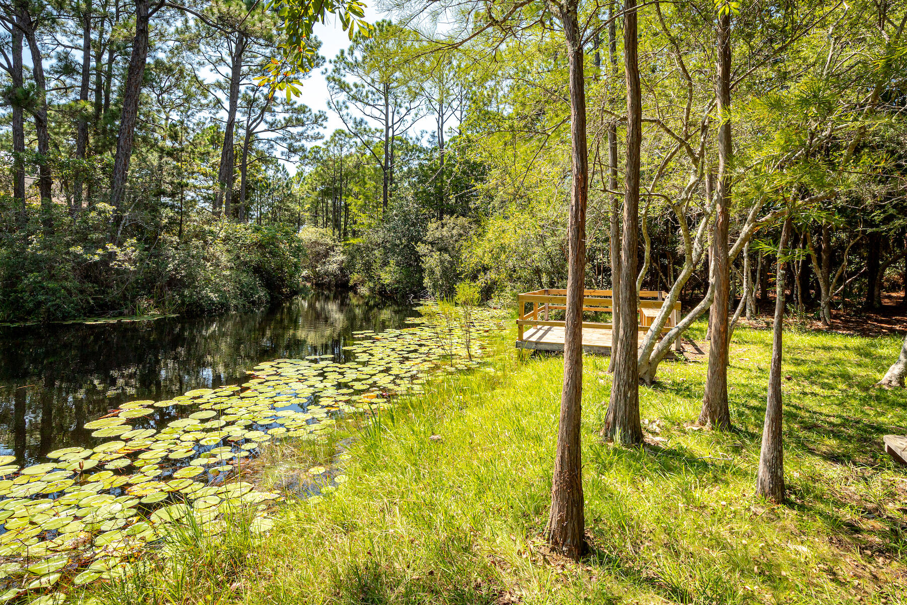 CASSINE GARDENS T/H PH 3 - Residential