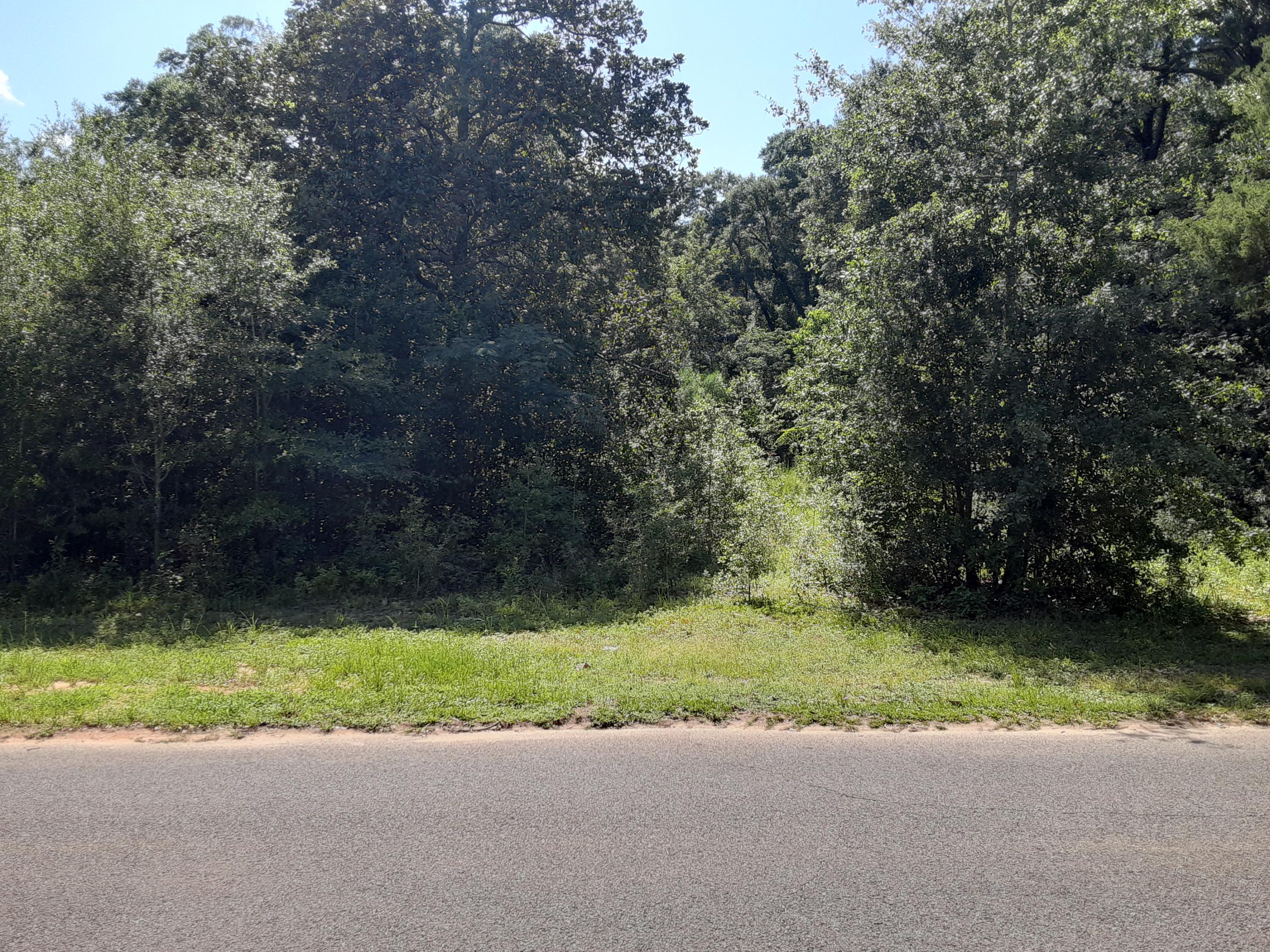 Large level lot in the heart of Crestview~ Nice Large shade trees~ There is a water and sewer tap in place~ Will make a wonderful home site ~ Builder's the lot can be split and you can build 2 homes here~ The property is also listed as 2 separate lots~ Close to schools & shopping~