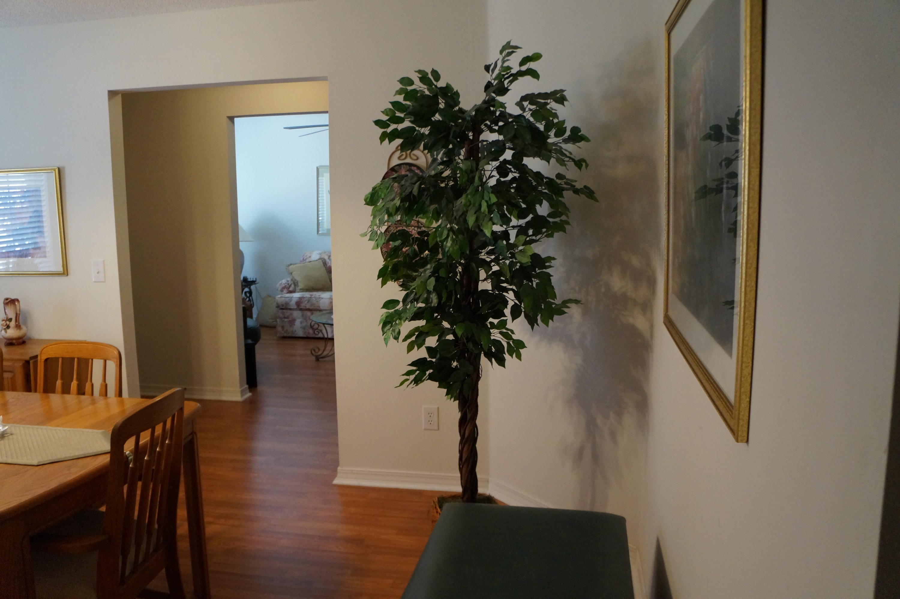 WOODLAND ESTATES - Residential