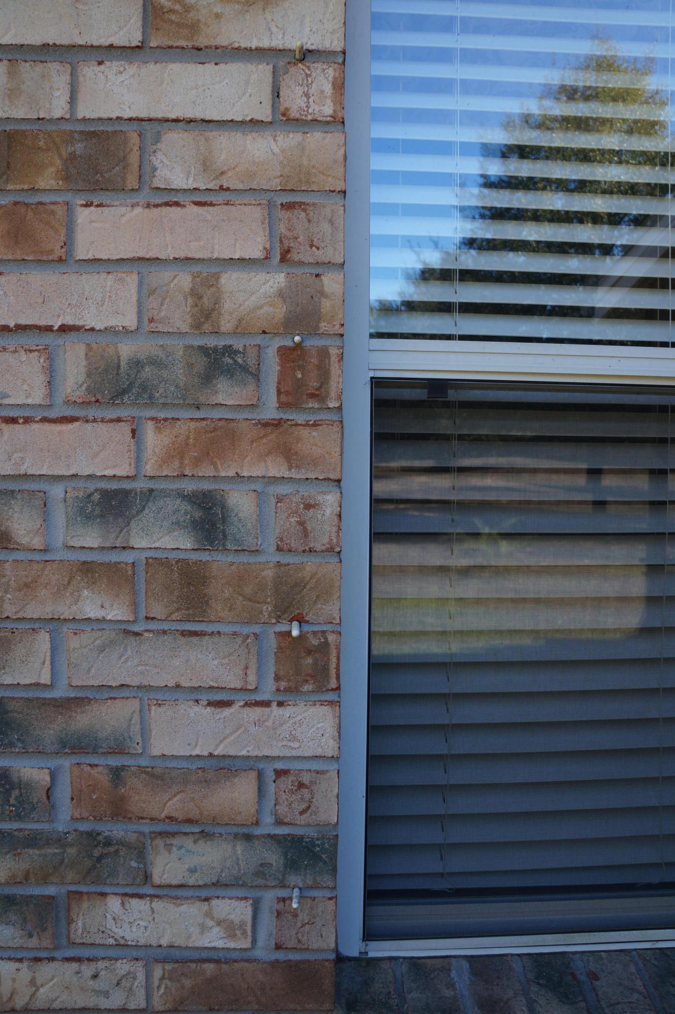 WOODLAND ESTATES - Residential