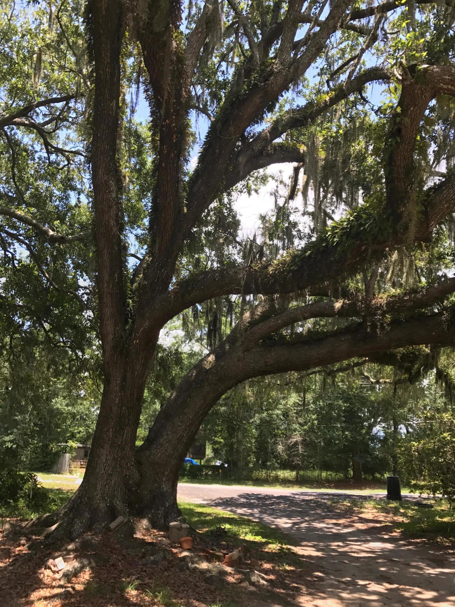 Basin Bayou - Residential